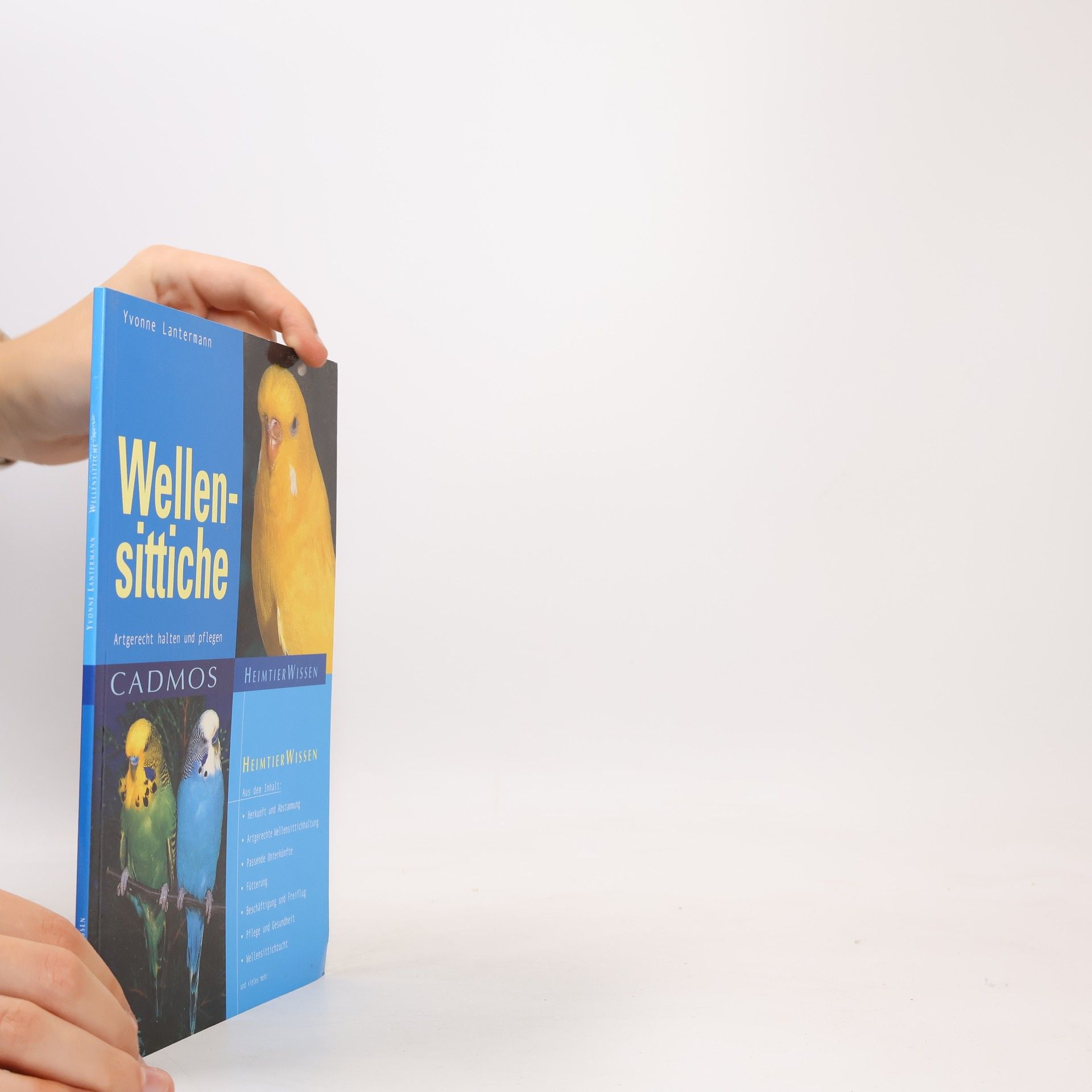 Yvonne Lantermann Wellensittiche artgerecht halten und pflegen