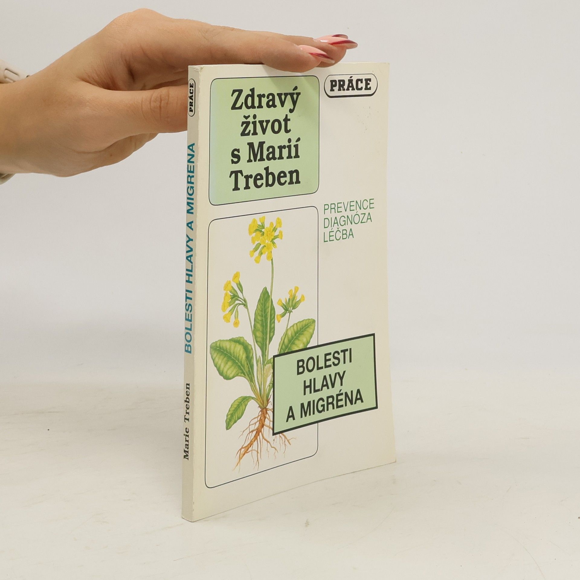 Bolesti hlavy a migréna