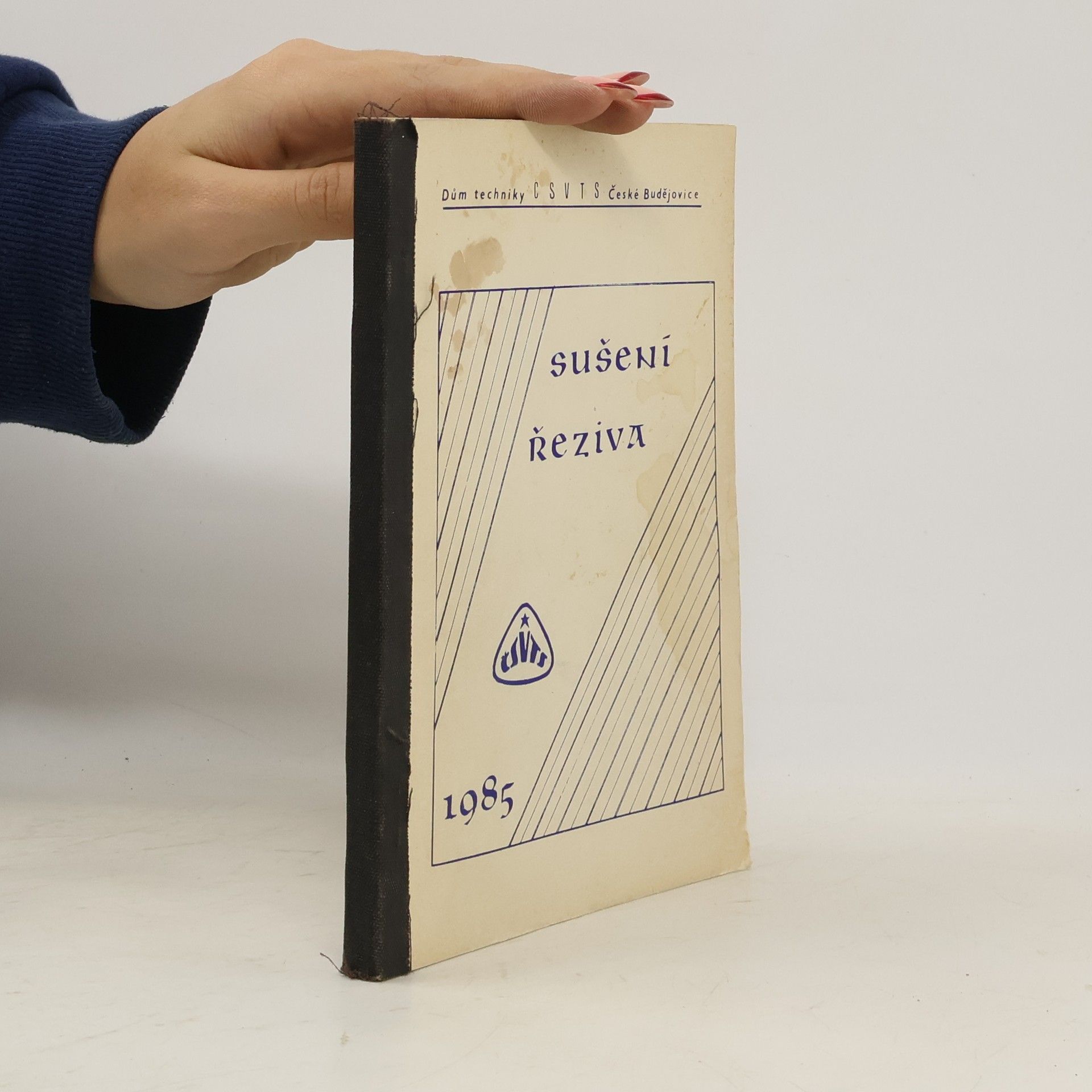 Various authors Sušení řeziva