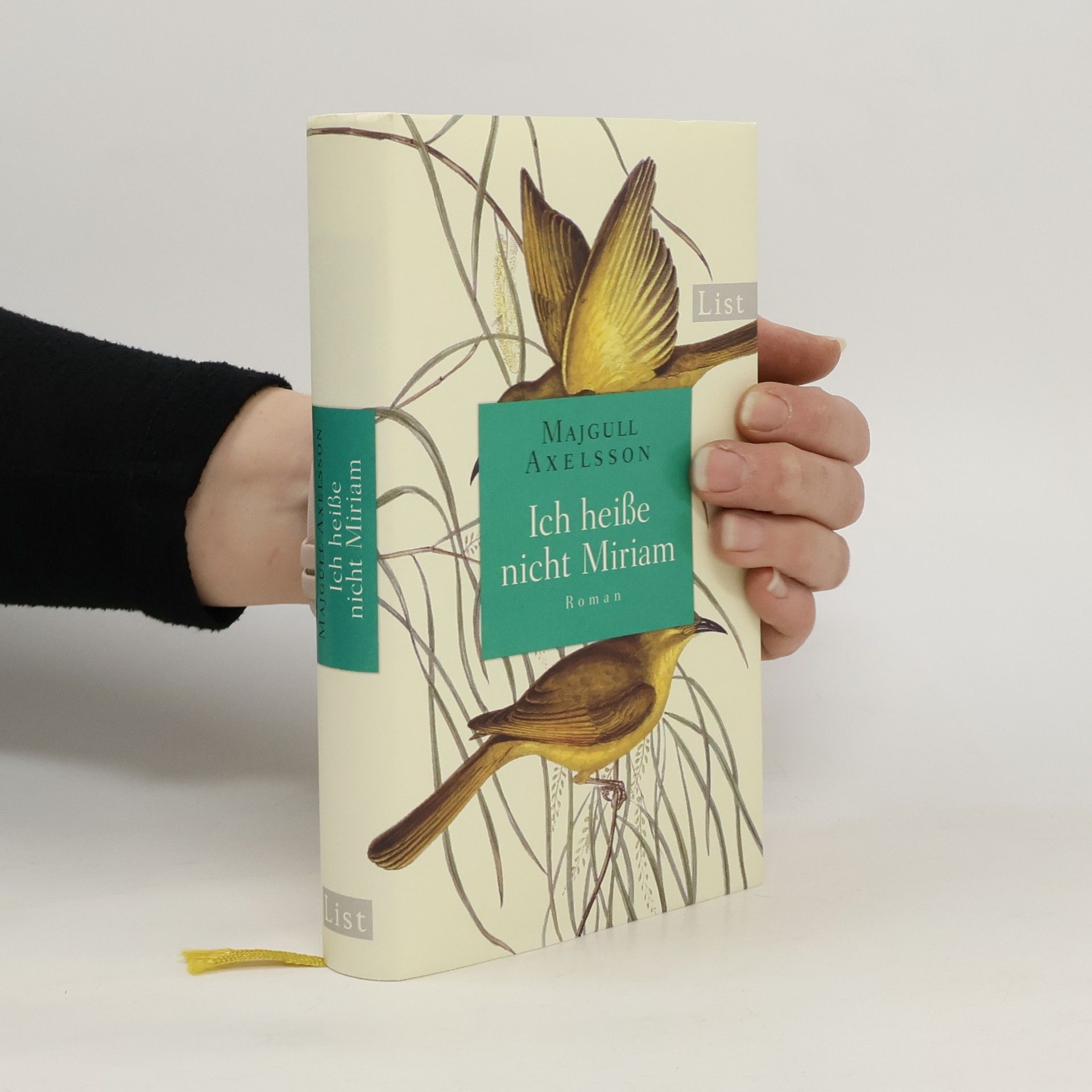 Majgull Axelsson Ich heiße nicht Miriam