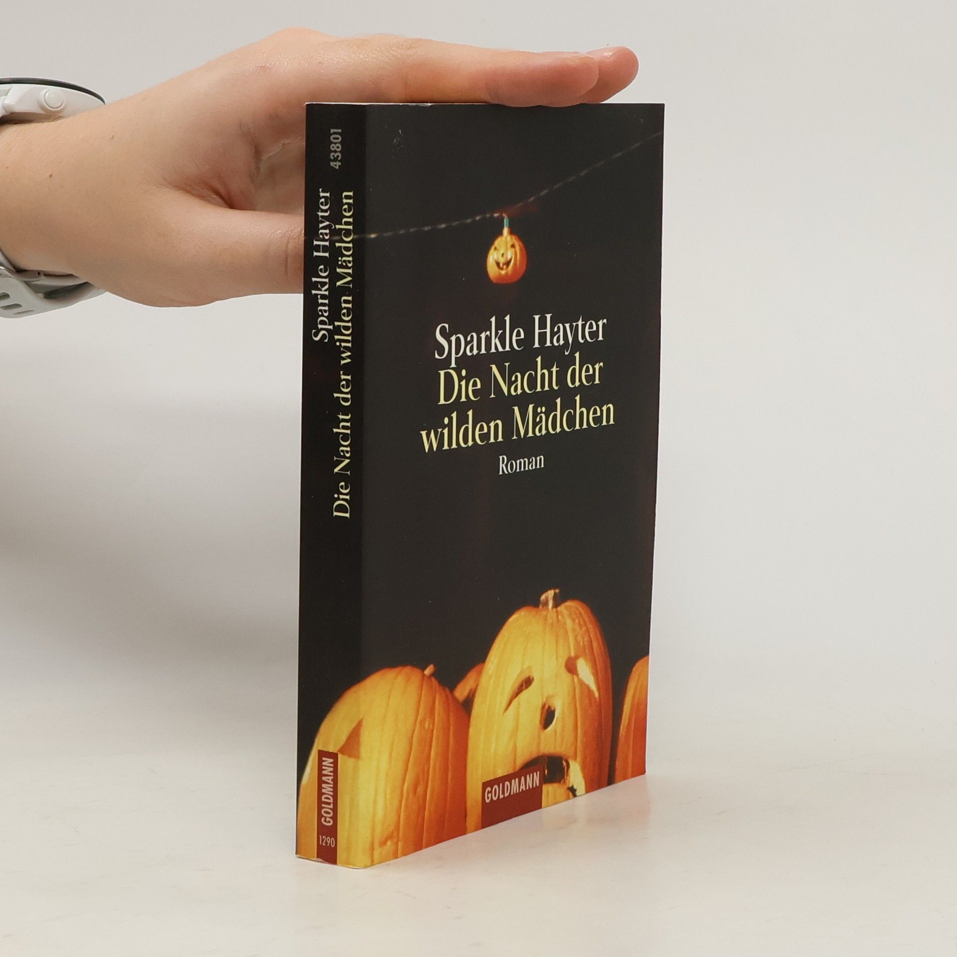 Sparkle Hayter Die Nacht der wilden Mädchen