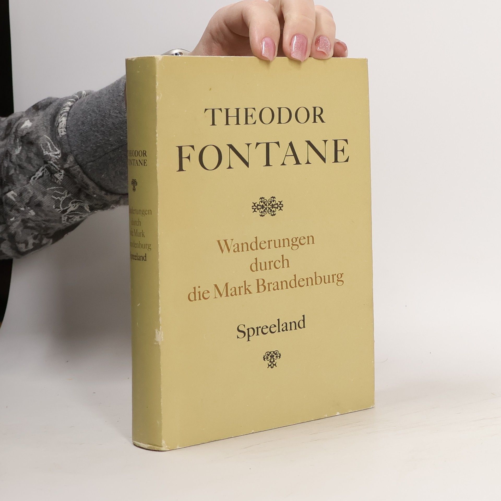 Theodor Fontane Wanderungen durch die Mark Brandenburg 4. Spreeland