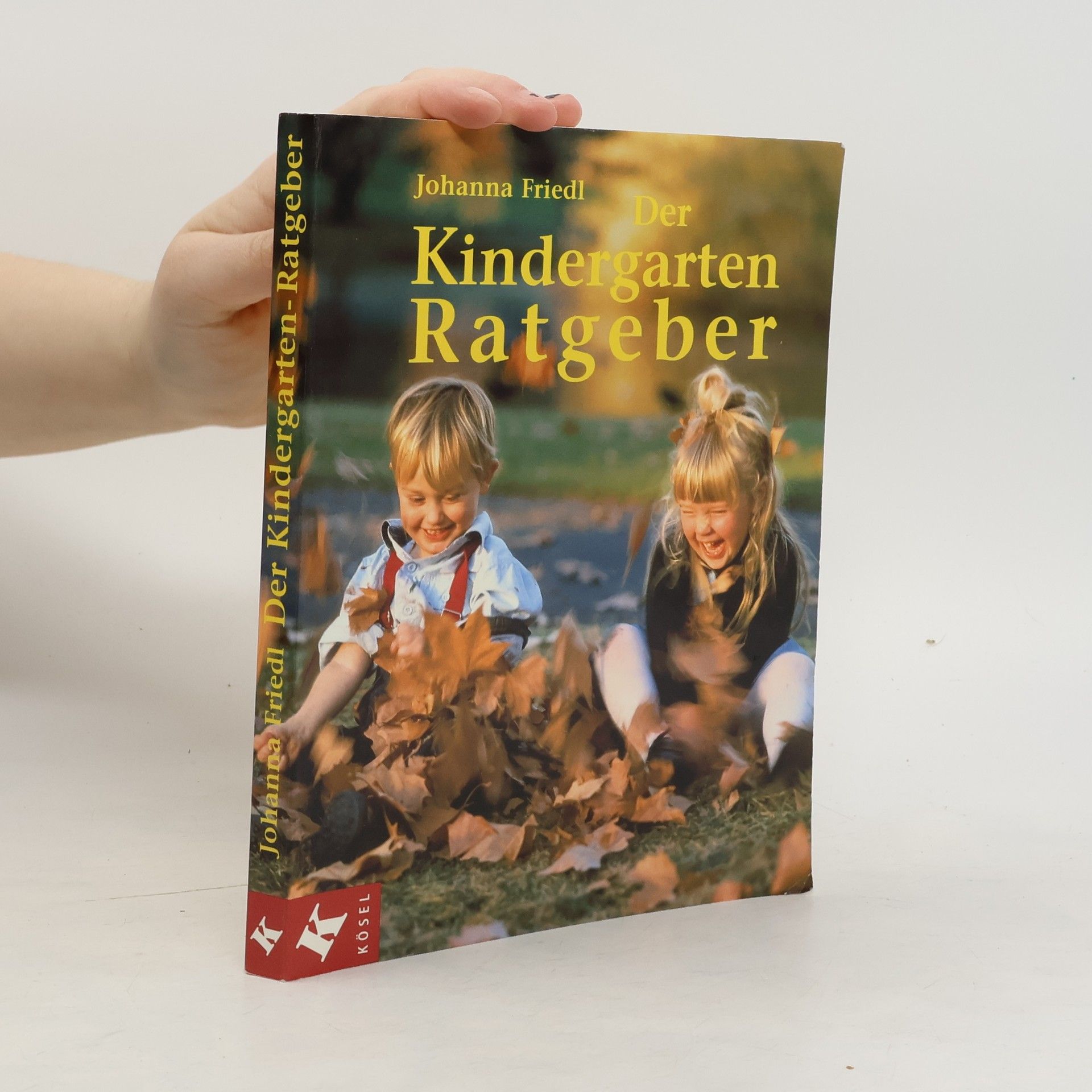 Johanna Friedl Der Kindergarten-Ratgeber