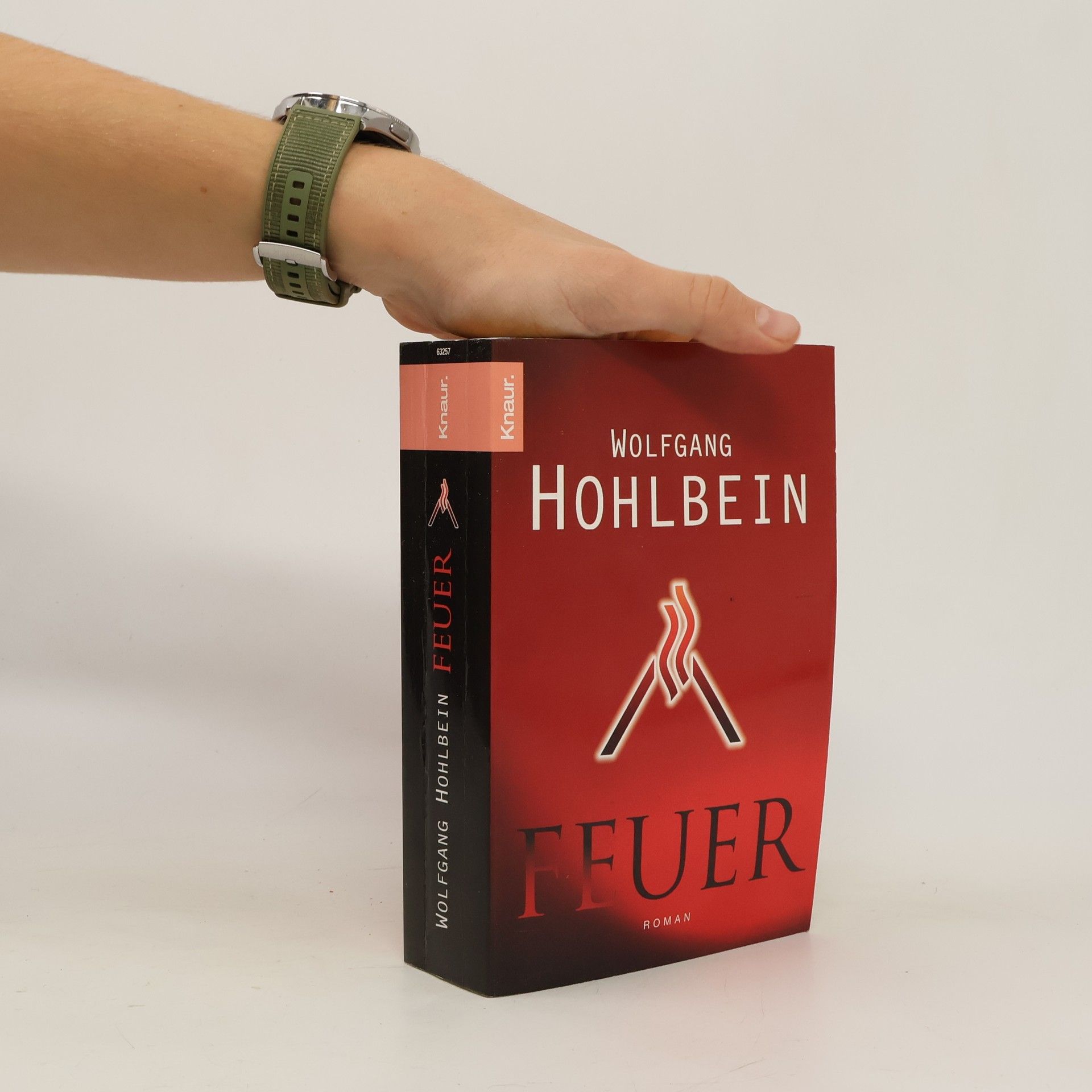 Wolfgang Hohlbein Feuer