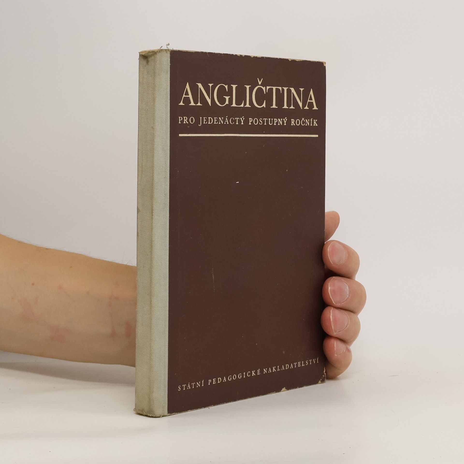 Autorenkollektiv Angličtina pro jedenáctý postupný ročník