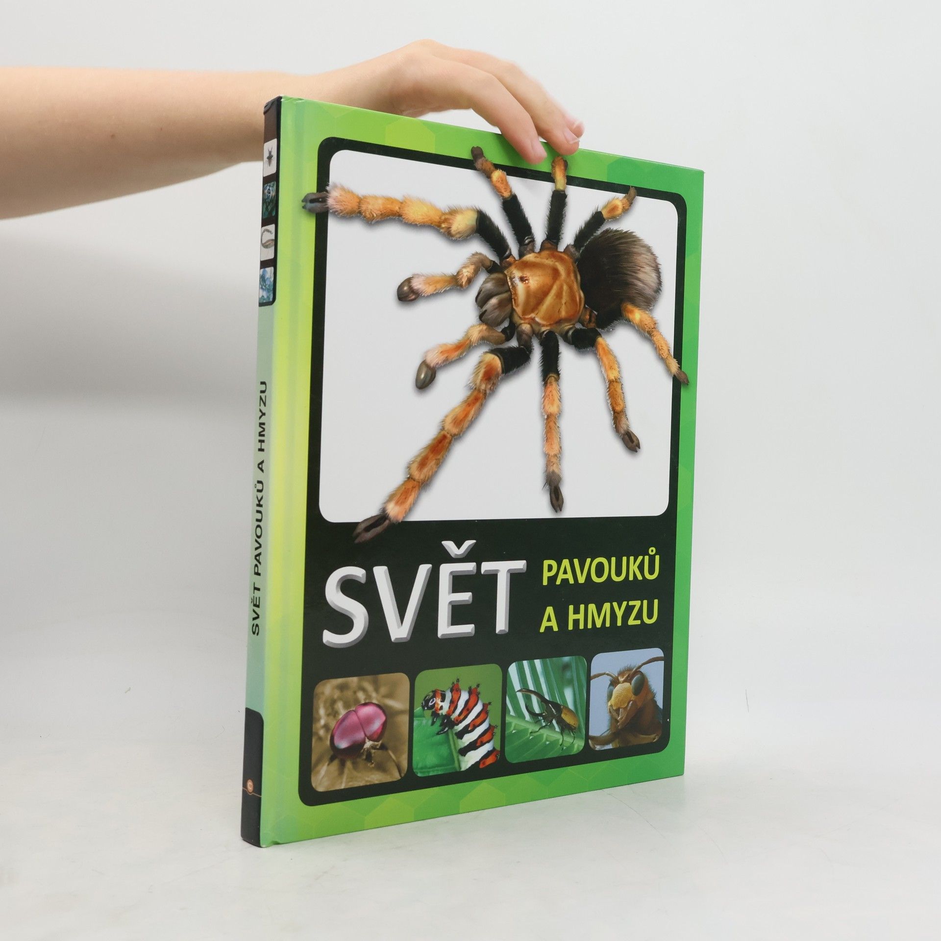 Lenka Jagošová Svět pavouků a hmyzu
