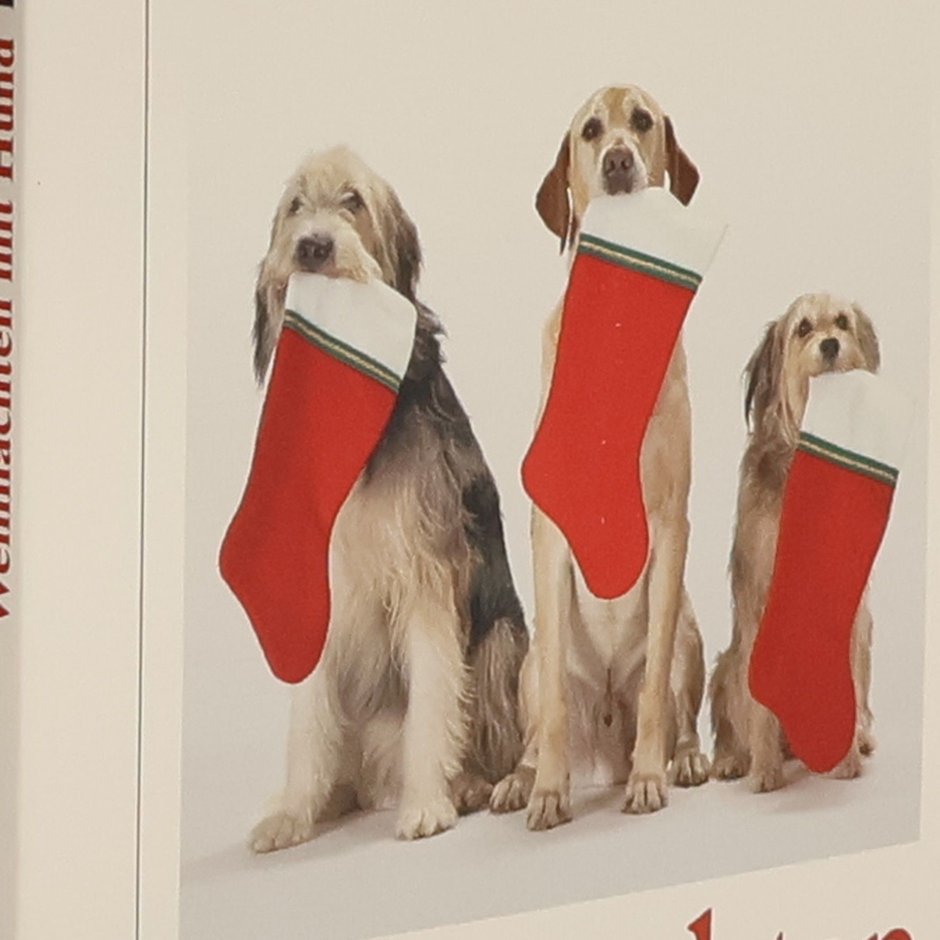 Weihnachten mit Hund