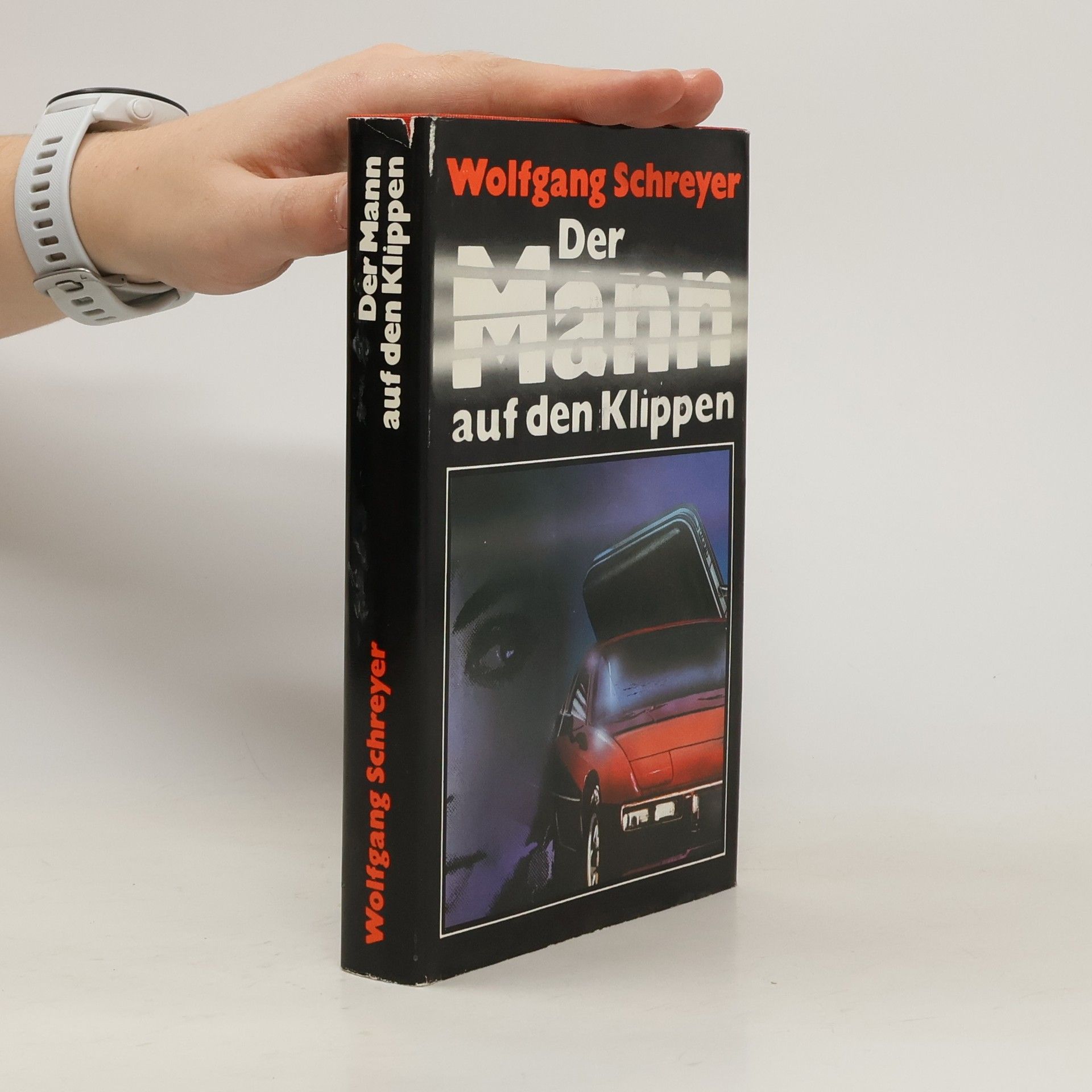 Wolfgang Schreyer Der Mann auf den Klippen