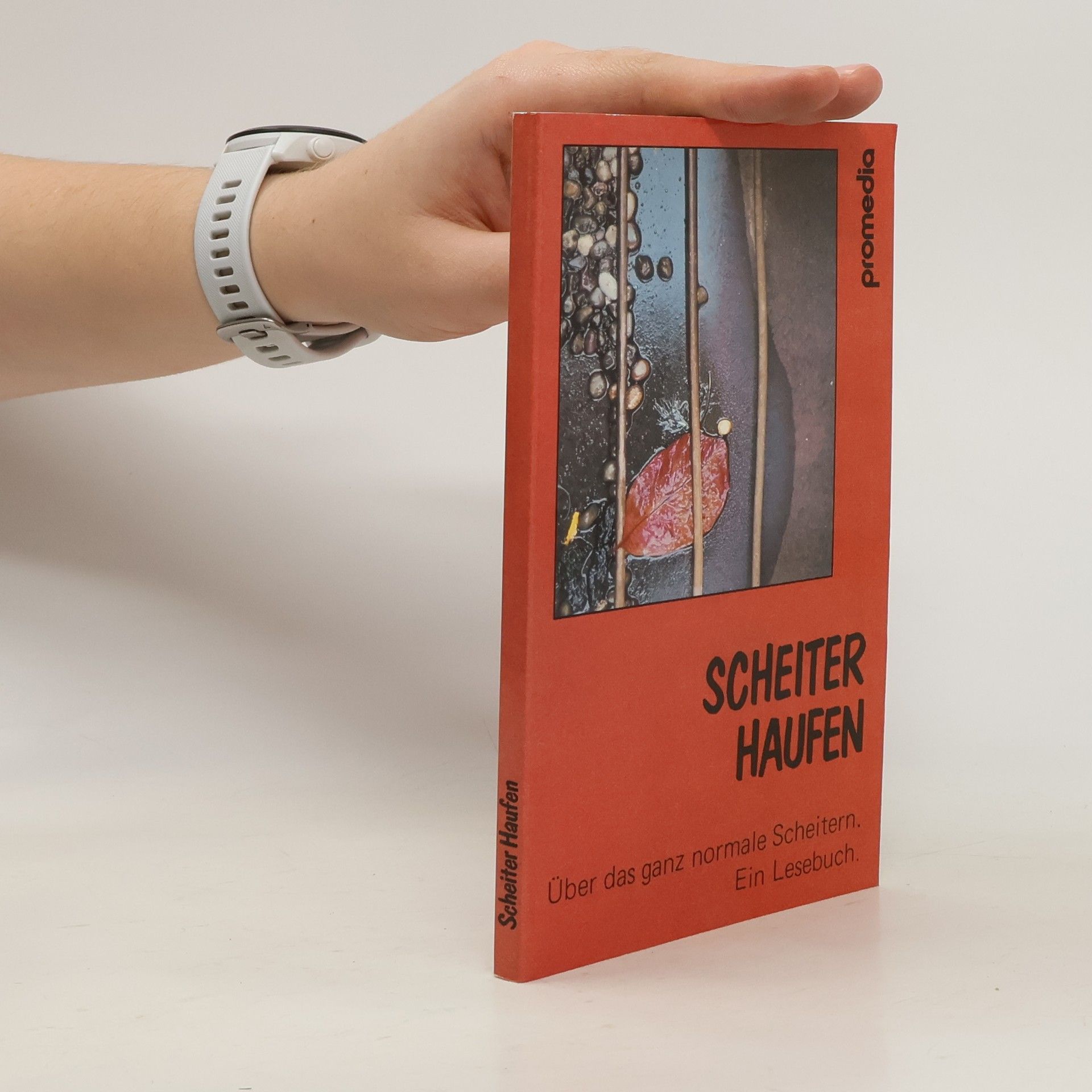 Anatolja Mayer Scheiterhaufen