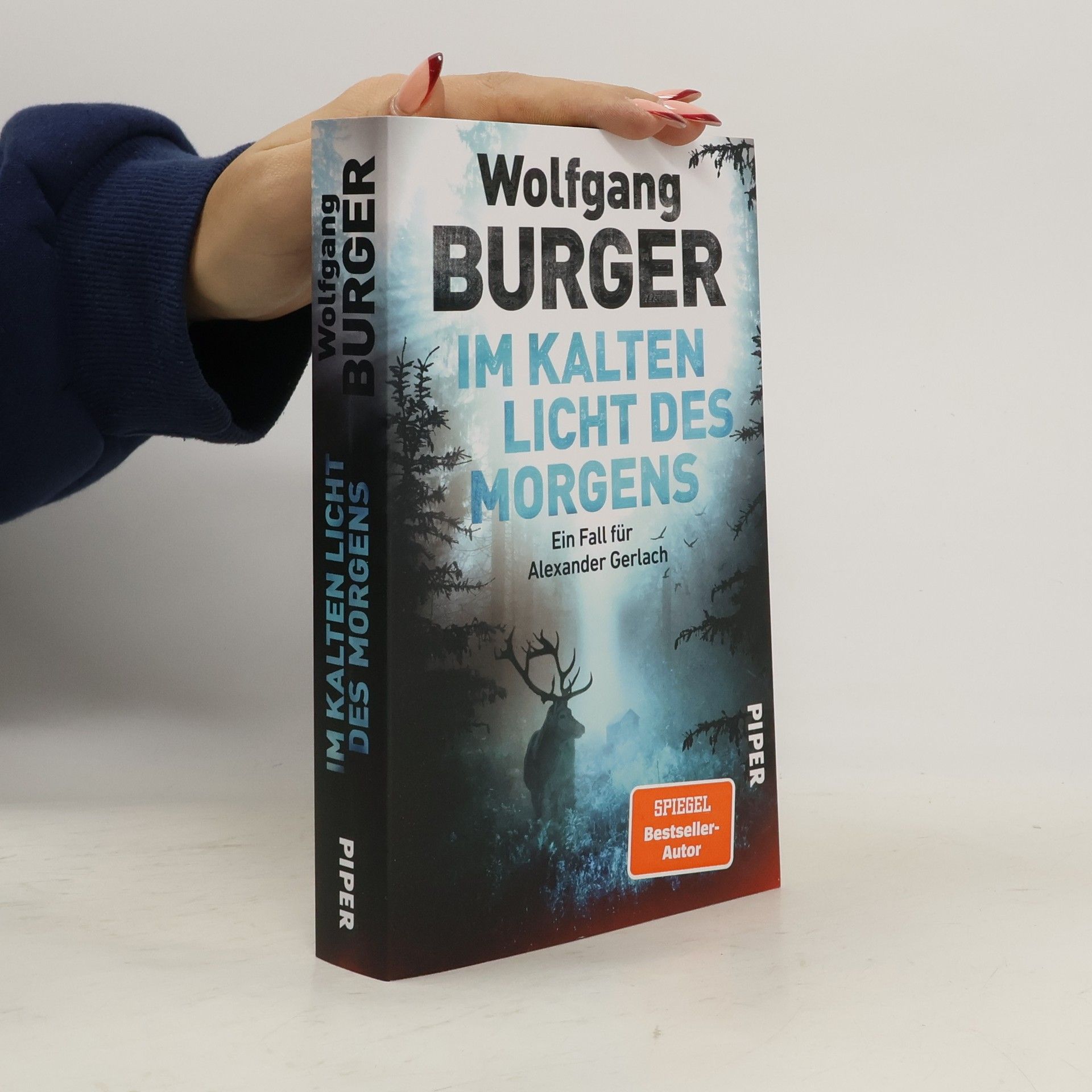 Wolfgang Burger Im kalten Licht des Morgens / Kripochef Alexander Gerlach Bd.20