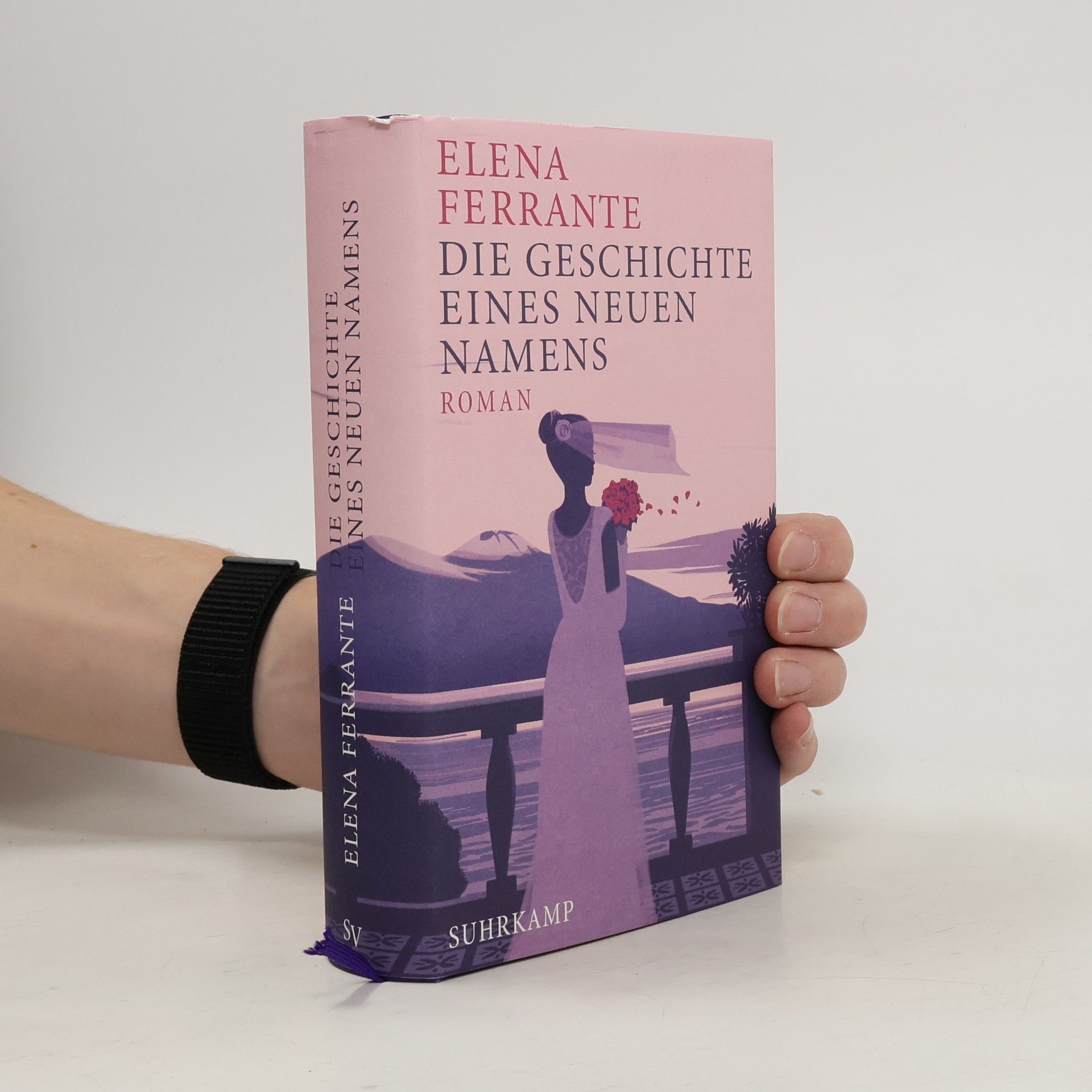 Elena Ferrante Die Geschichte eines neuen Namens: Jugendjahre