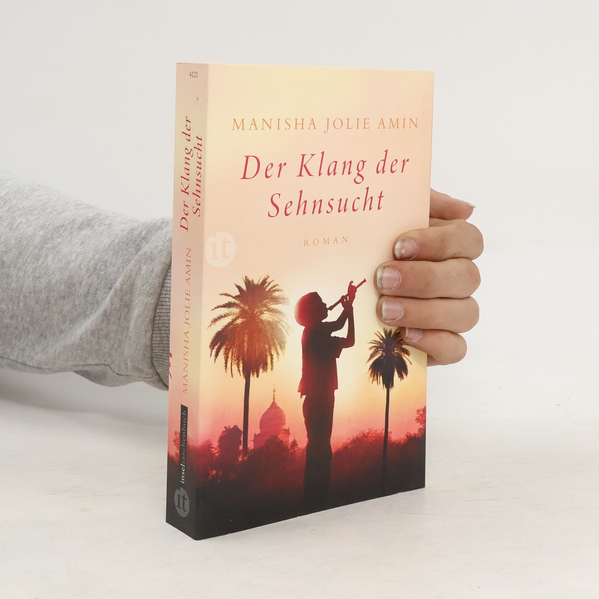 Manisha Jolie Amin Der Klang der Sehnsucht