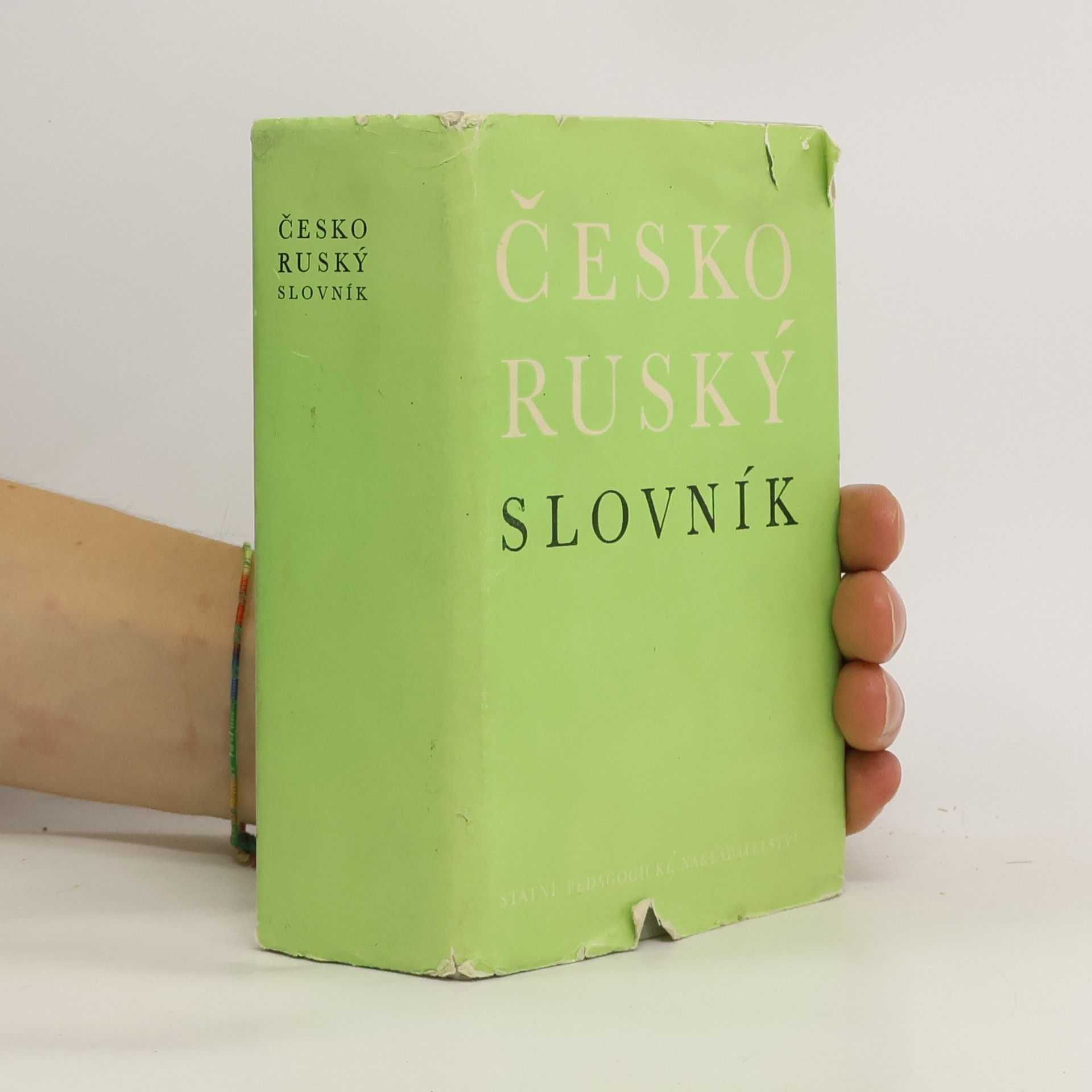 Collectif d'auteurs Česko-ruský slovník