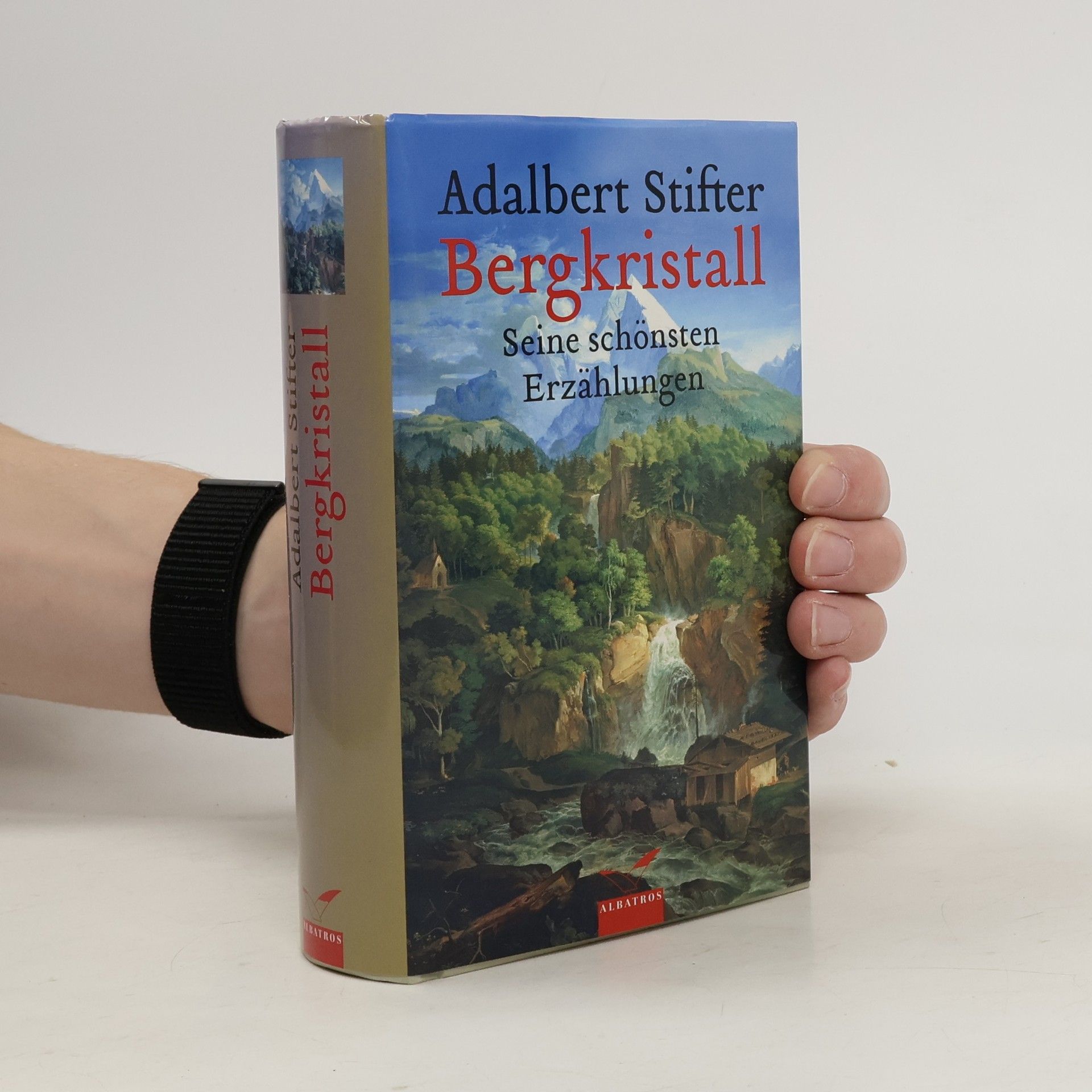 Adalbert Stifter Bergkristall: seine schönsten Erzählungen