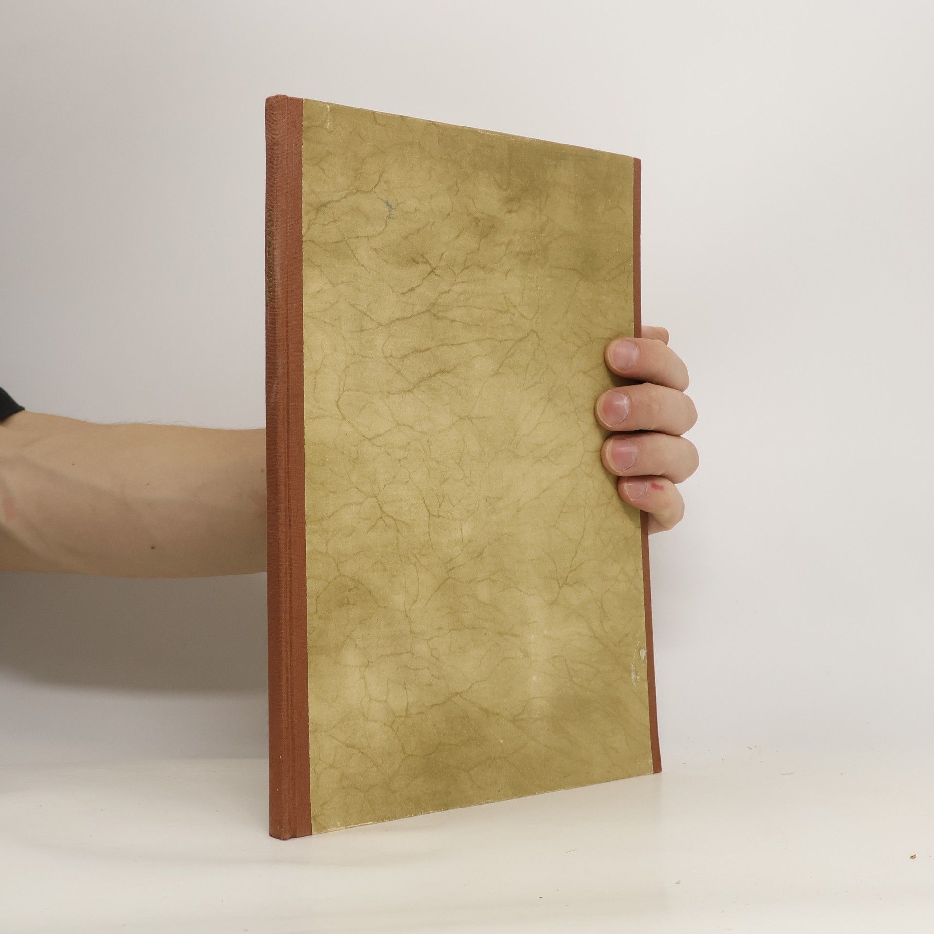 František Dvořák Vidět Prahu