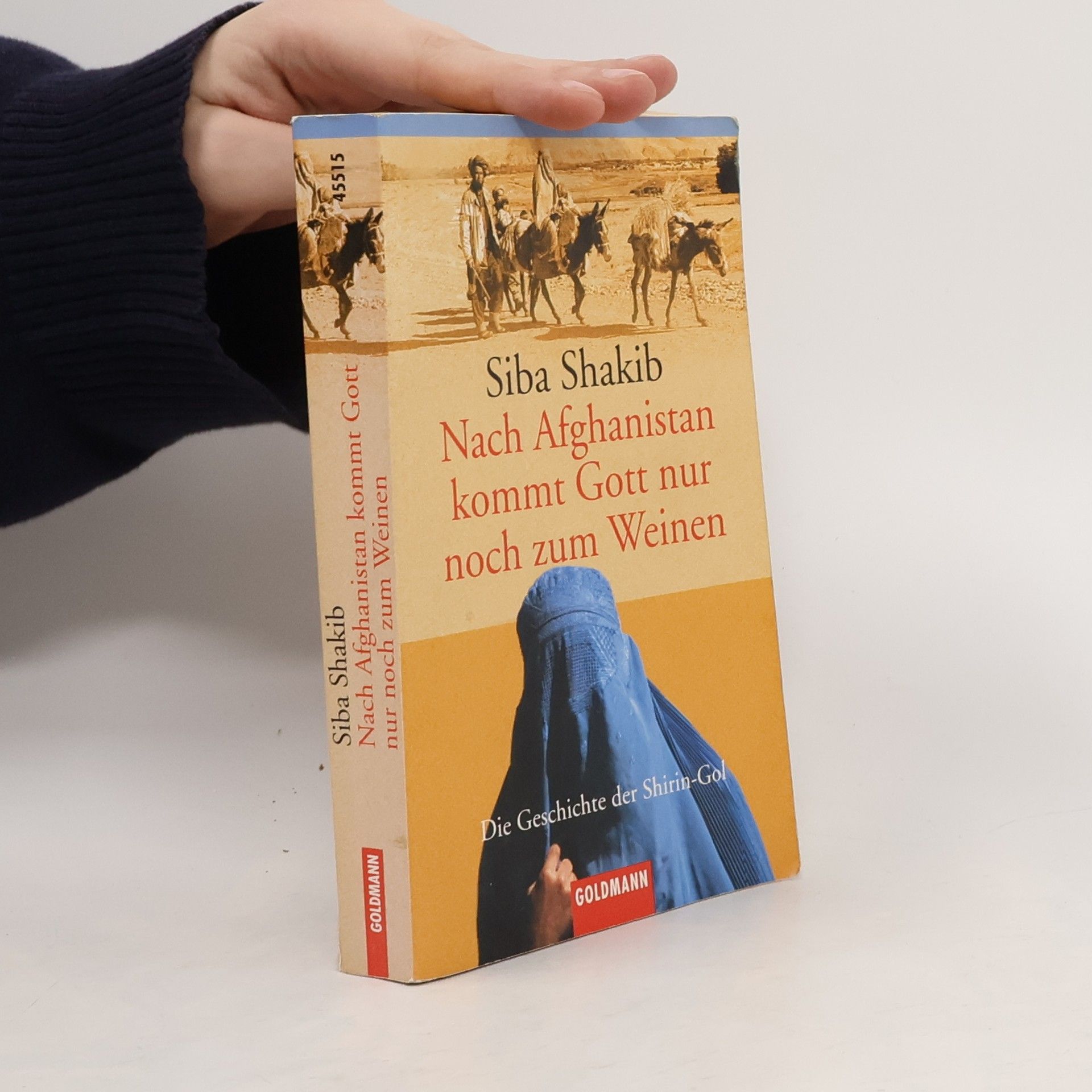 Síba Shakib Nach Afghanistan kommt Gott nur noch zum Weinen