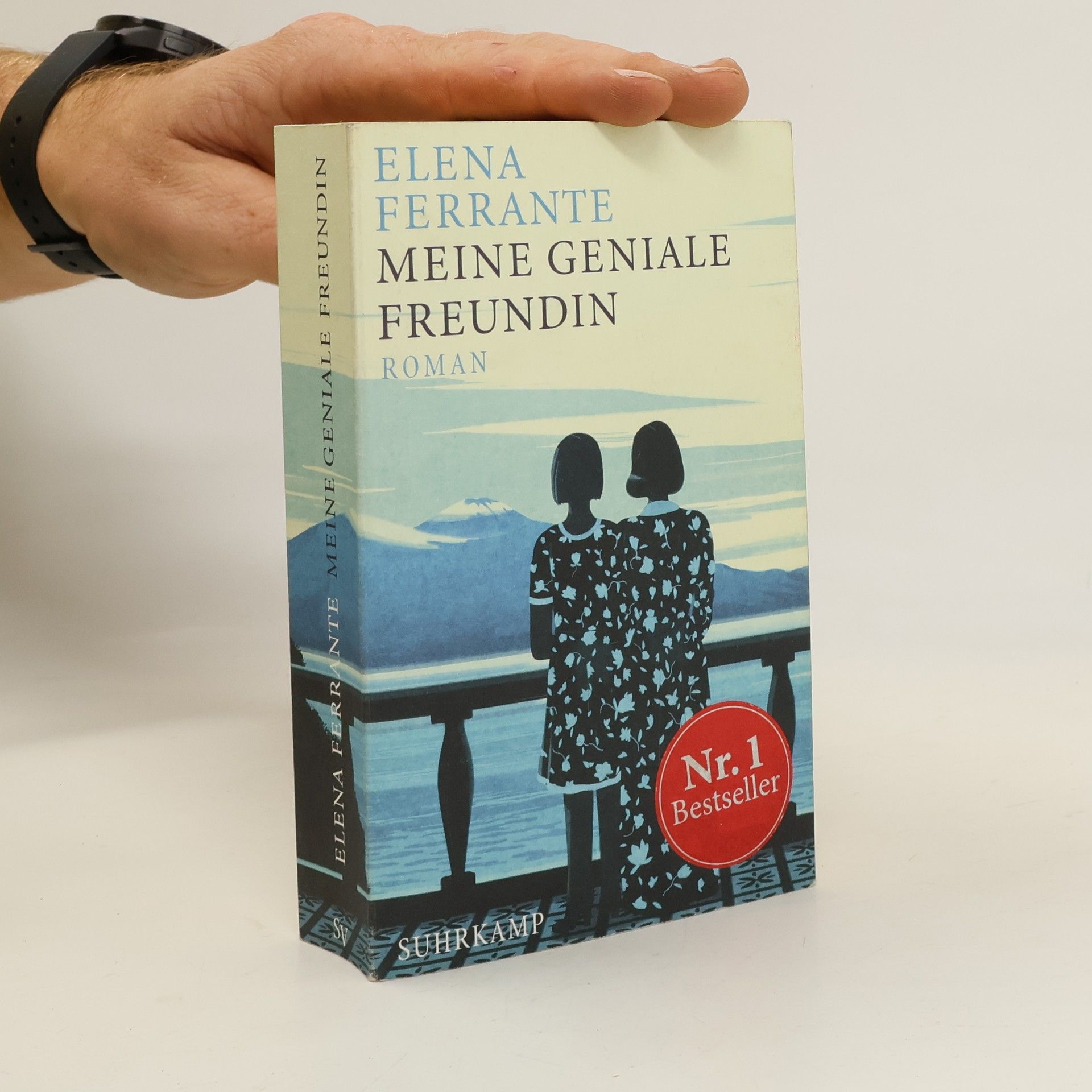 Elena Ferrante Meine geniale Freundin