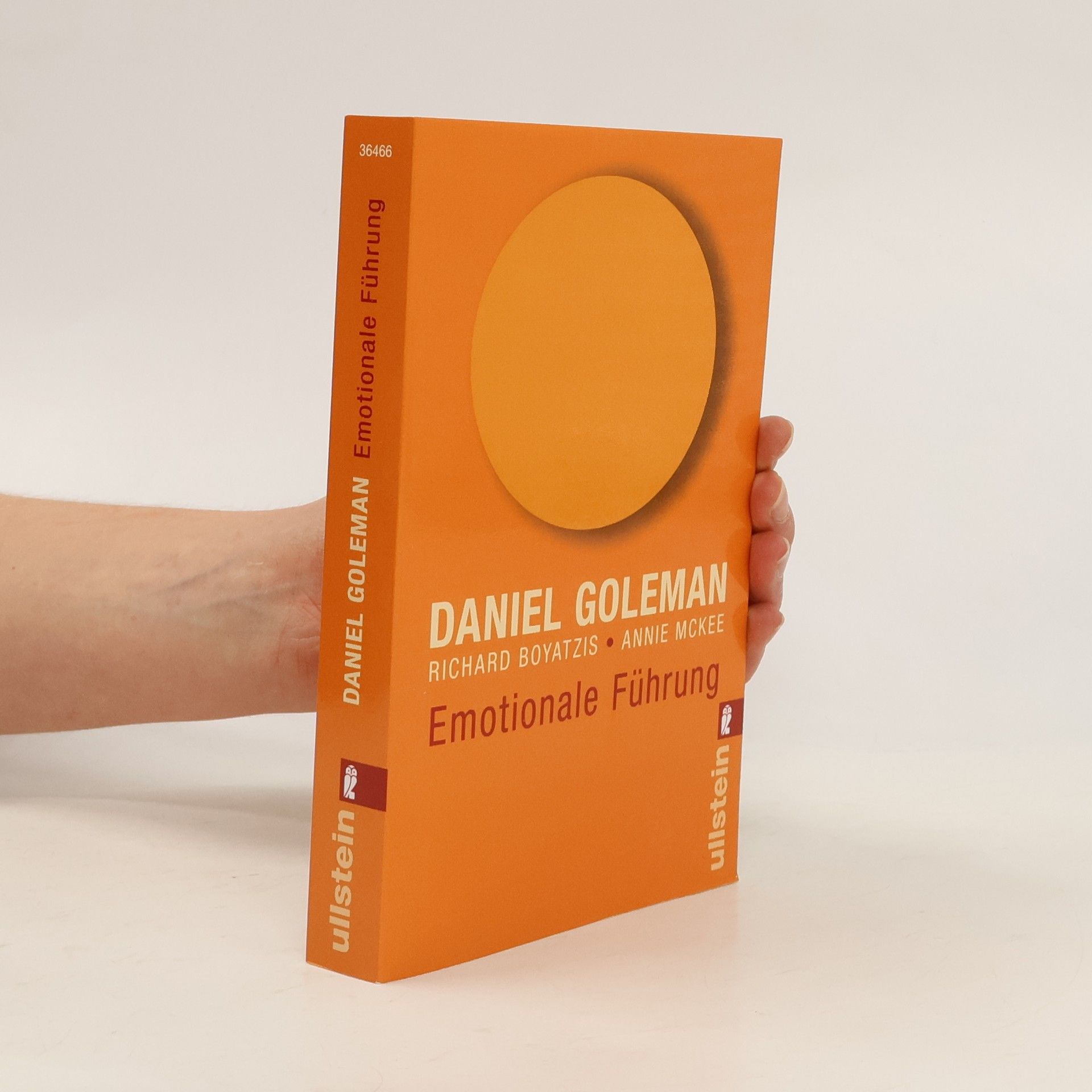 Daniel Goleman Emotionale Führung