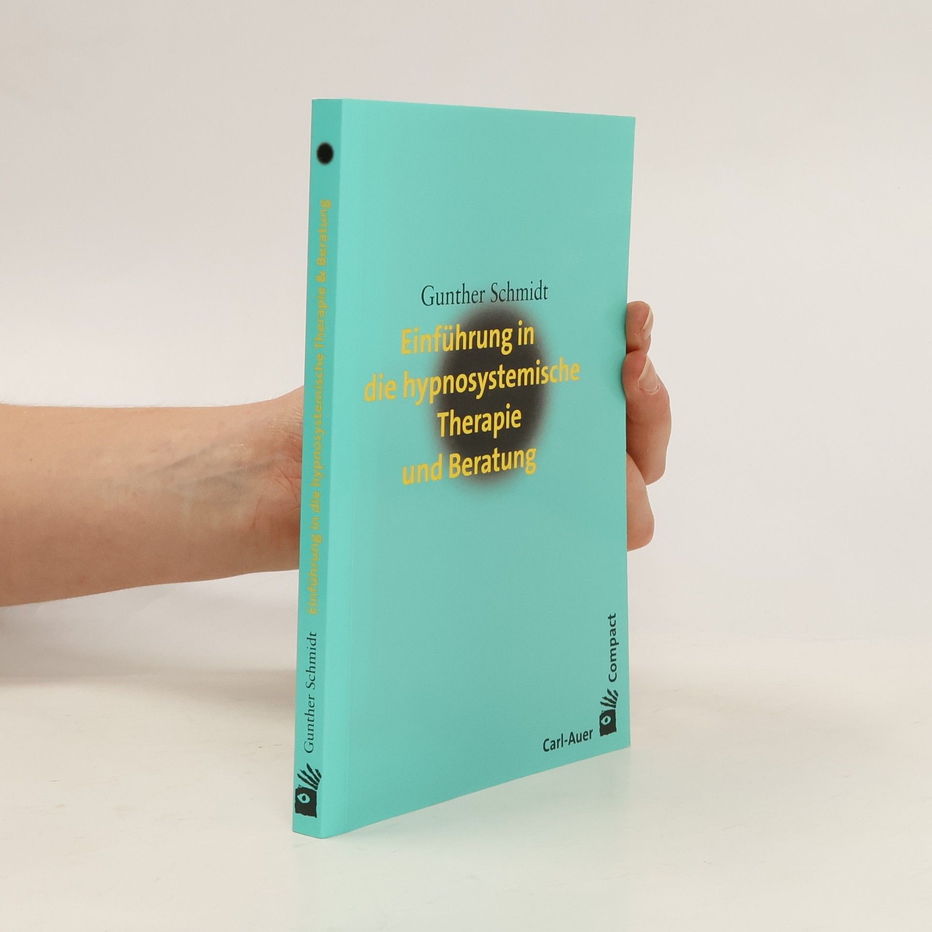 Einführung in die hypnosystemische Therapie und Beratung