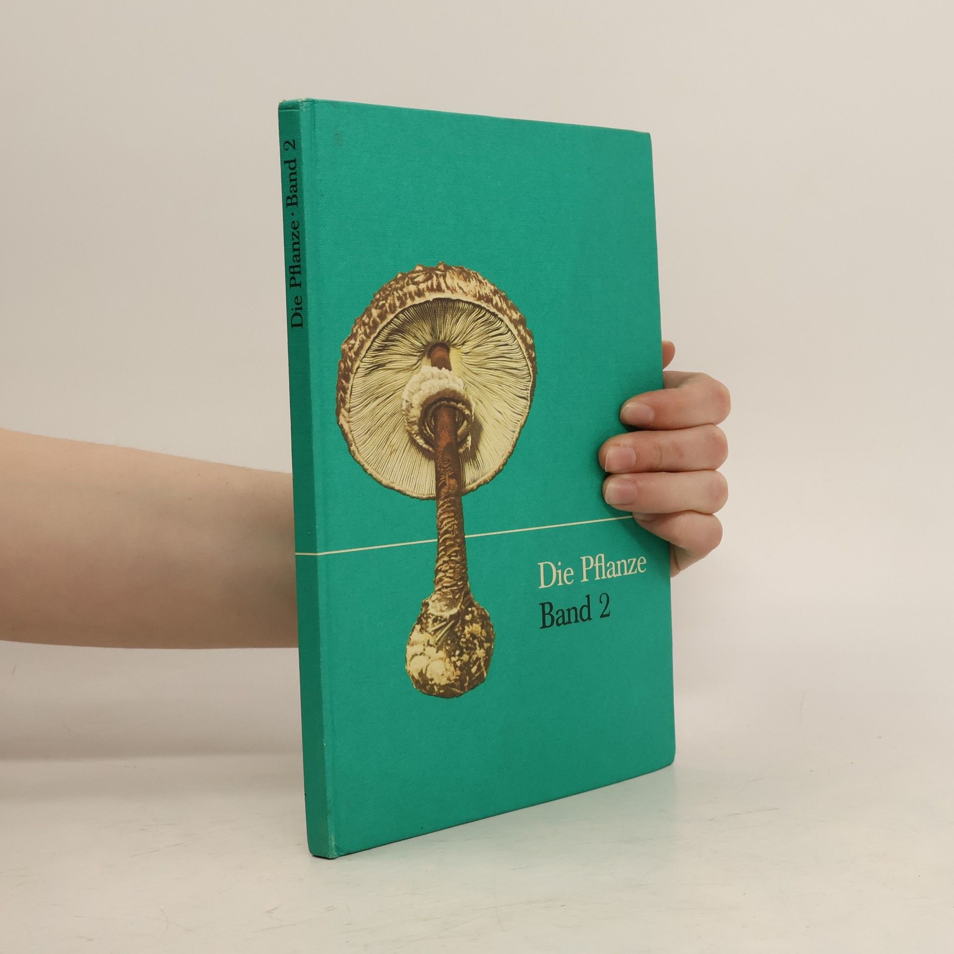 Die Pflanze 2