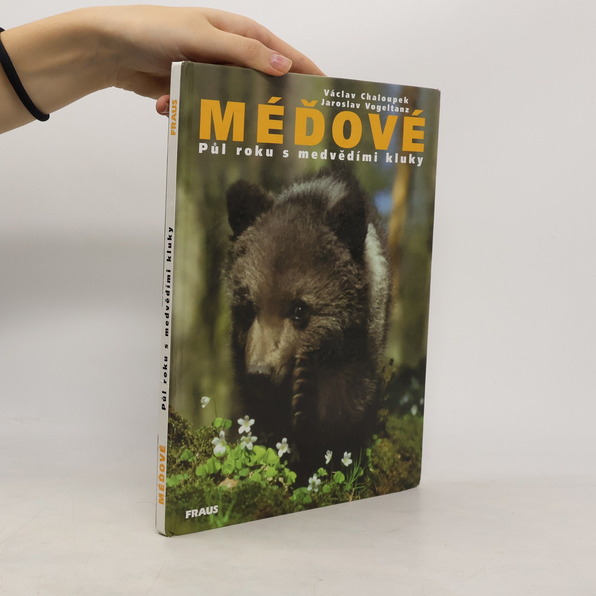 Méďové. Půl roku s medvědími kluky