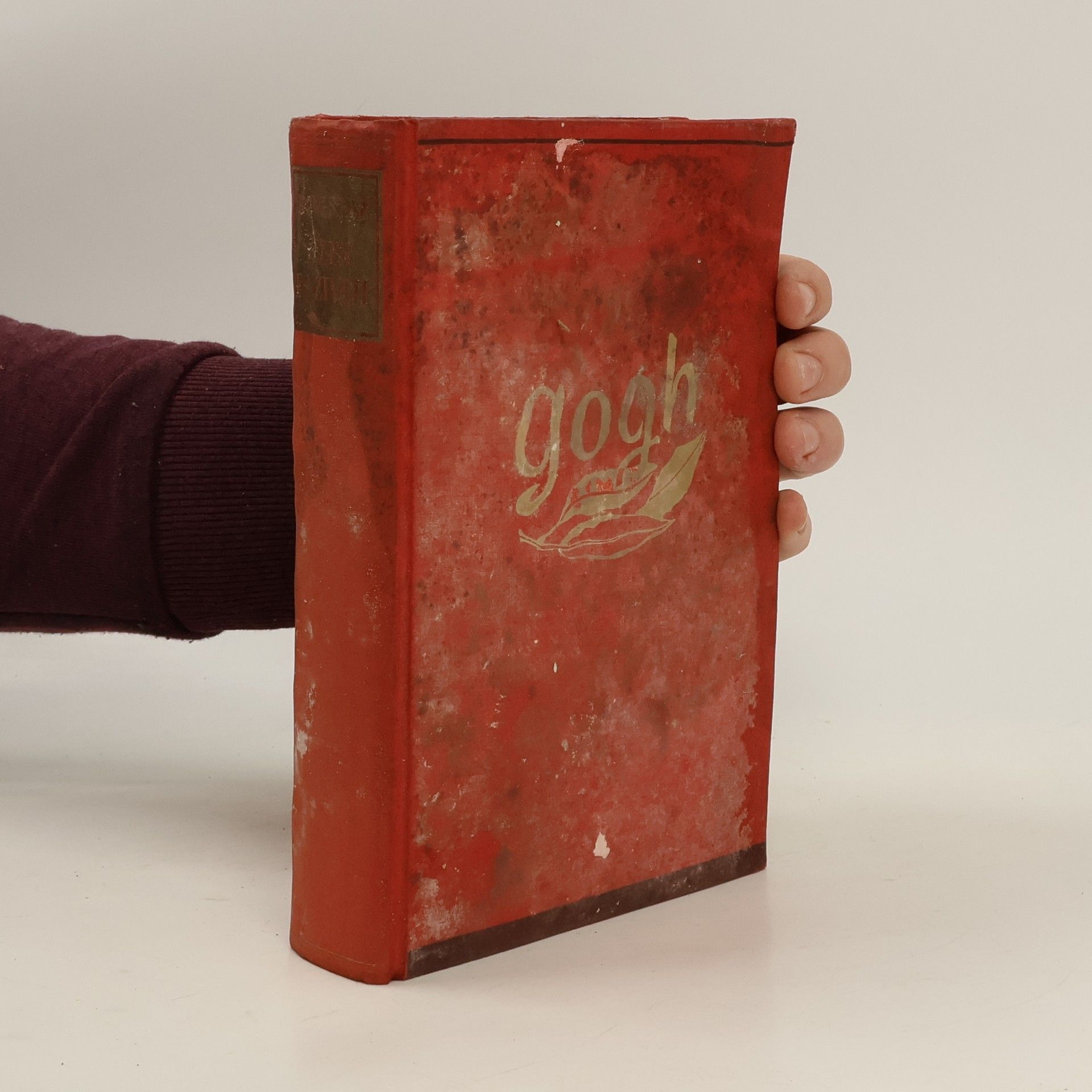 Irving Stone Žízeň po životě. Život malíře Vincenta Van Gogha