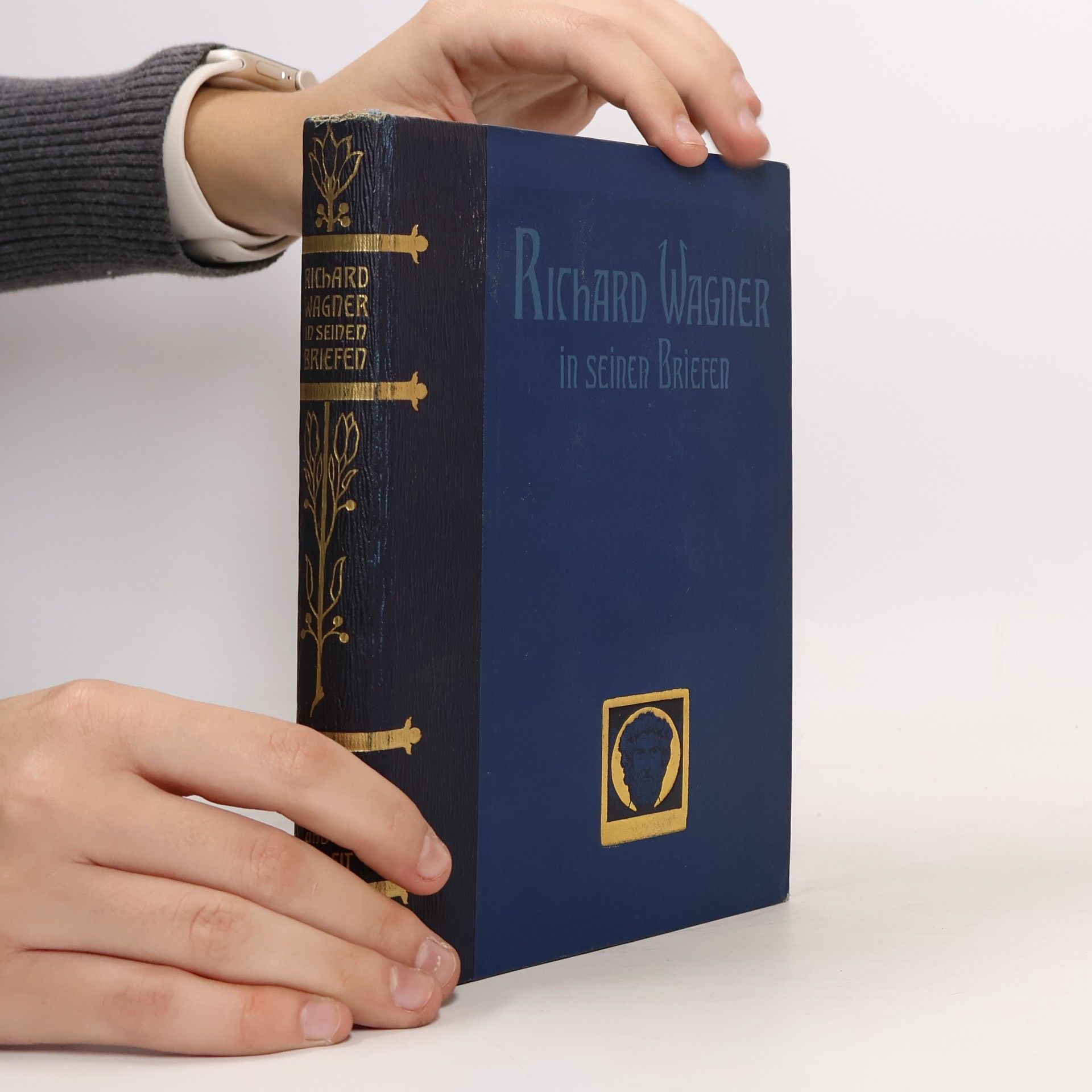Richard Wagner In seinen Briefen