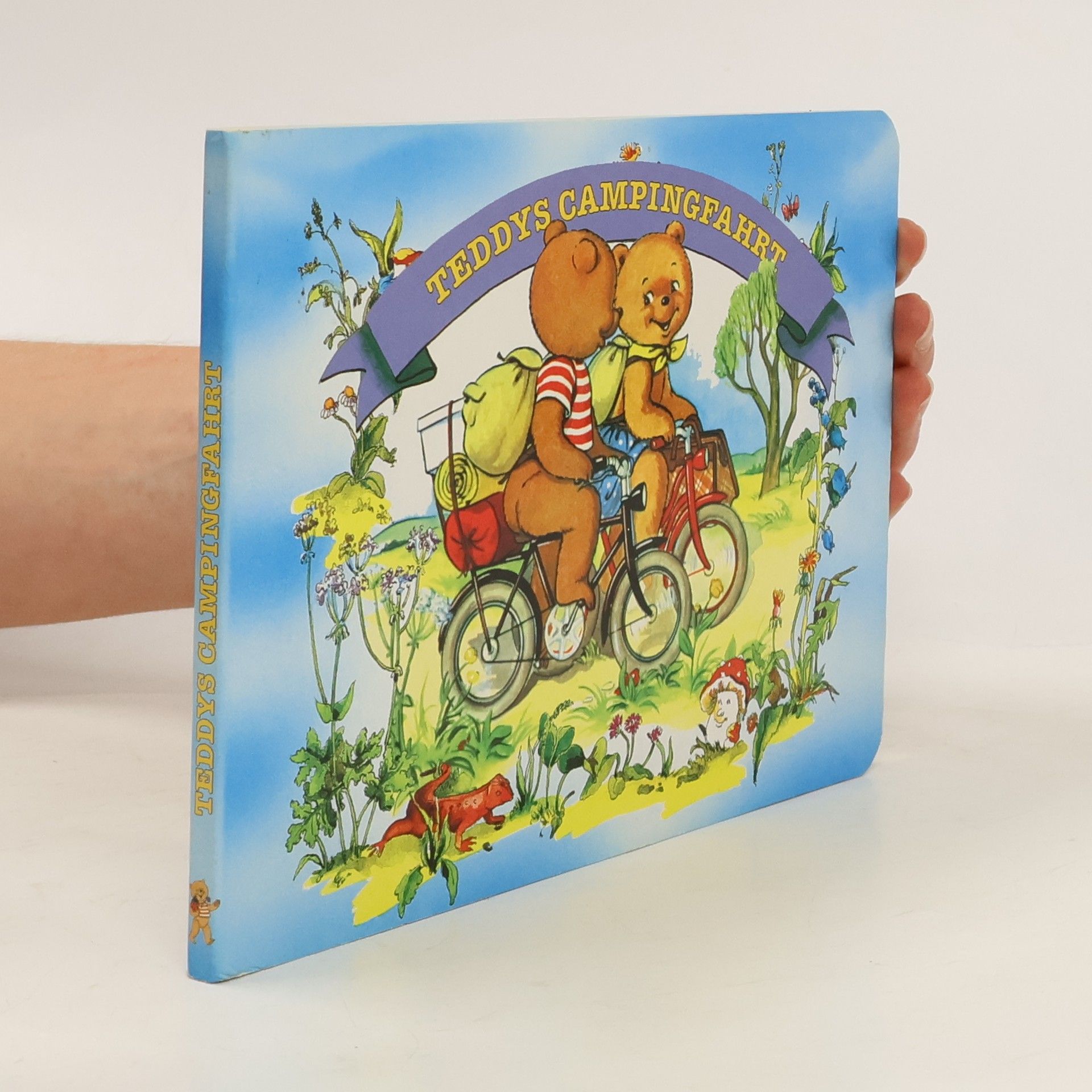 Teddys Abenteuer: Teddys Campingfahrt