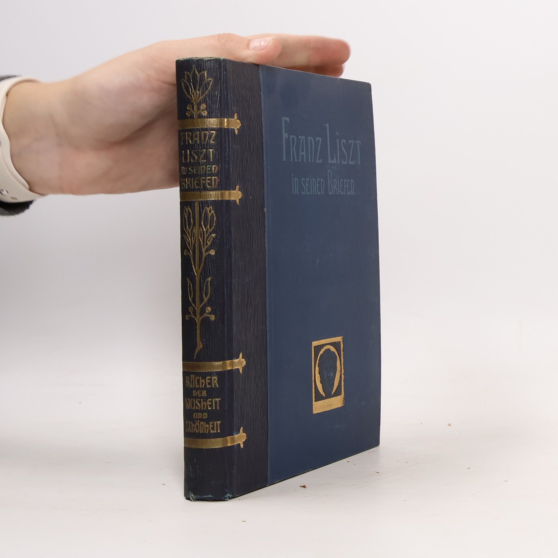 Franz Liszt in seinen Briefen