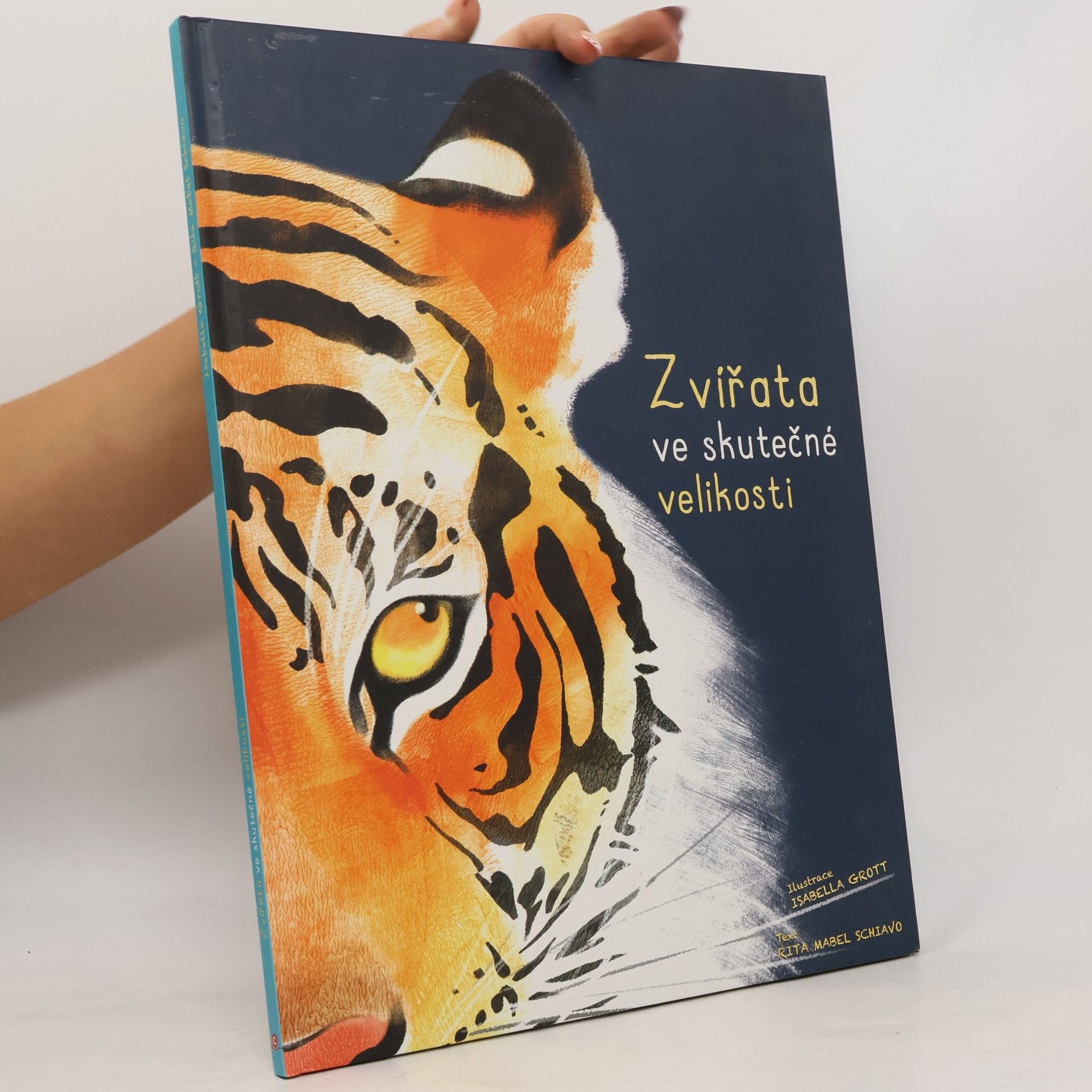 Rita Mabel Schiavo Zvířata ve skutečné velikosti