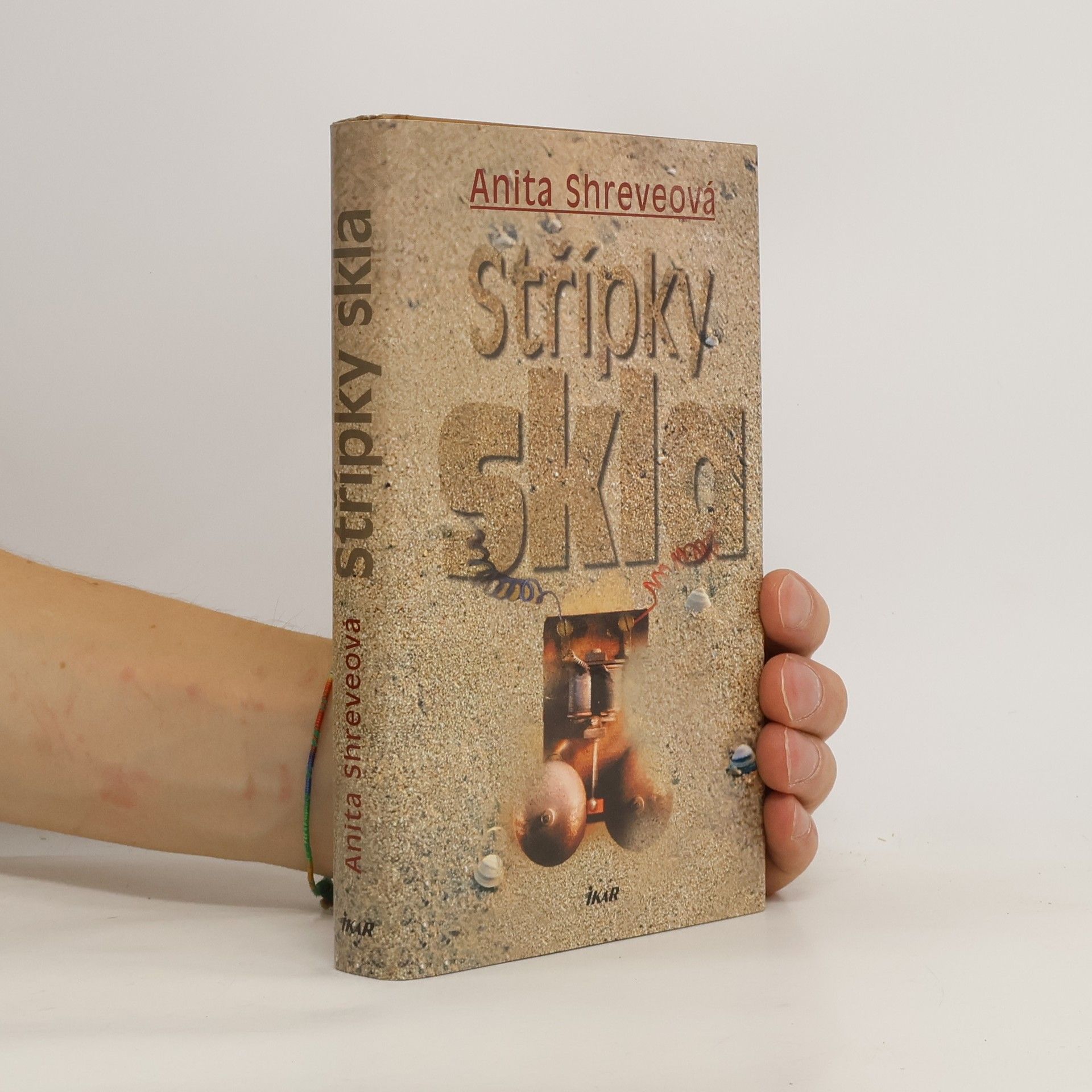 Anita Shreve Střípky skla