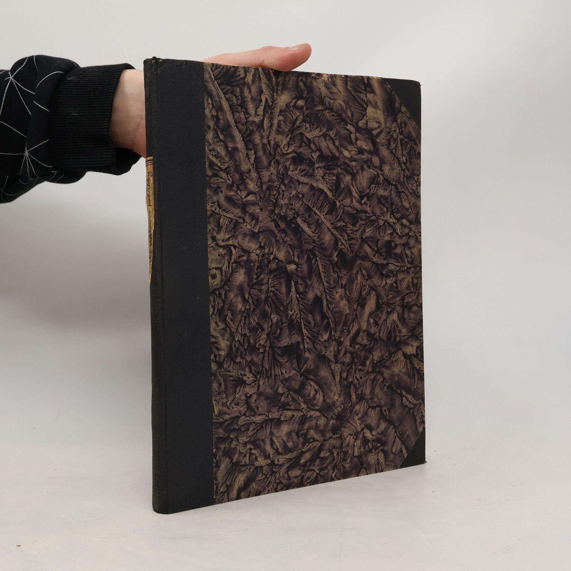 Ruské národní pohádky