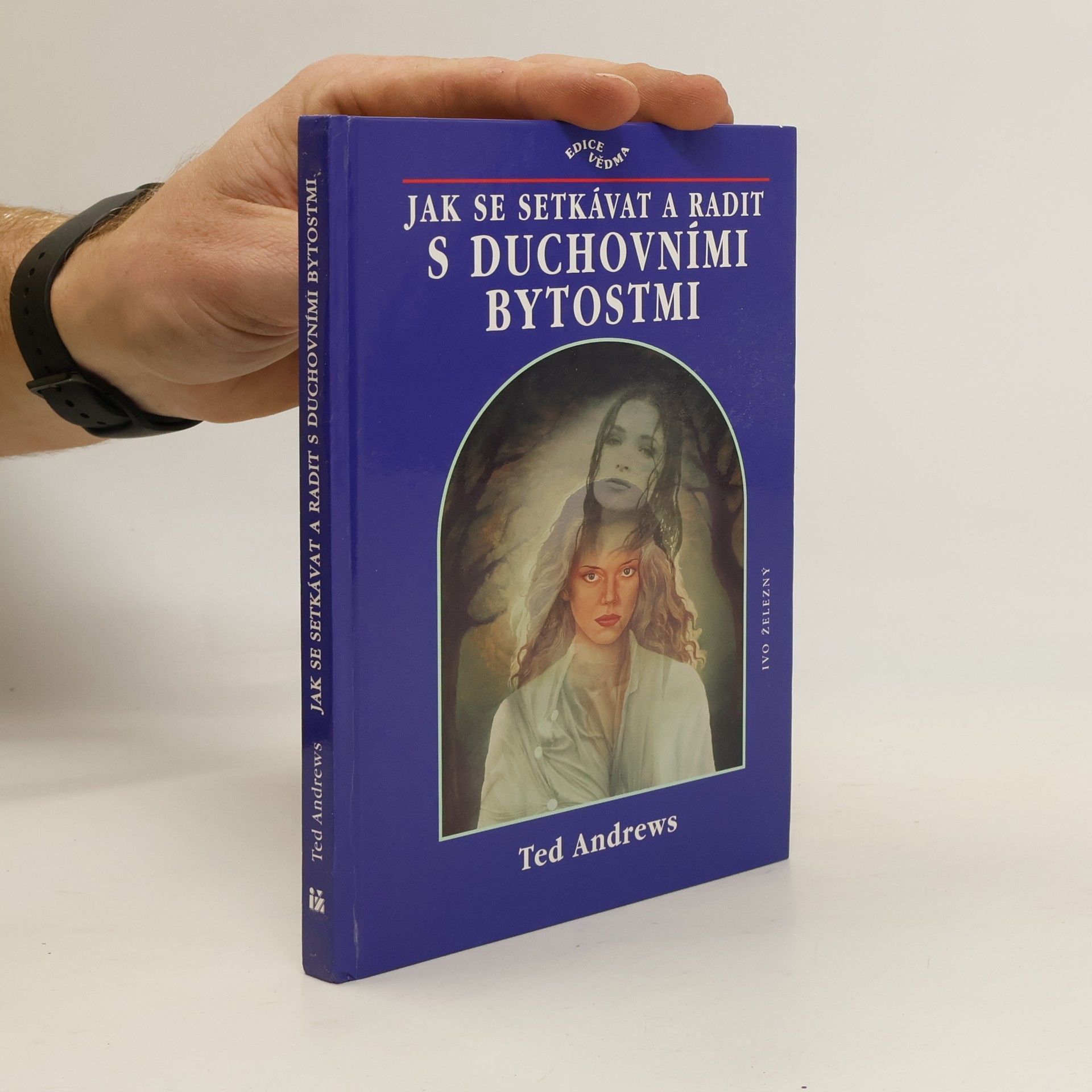 Ted Andrews Jak se setkávat a radit s duchovními bytostmi