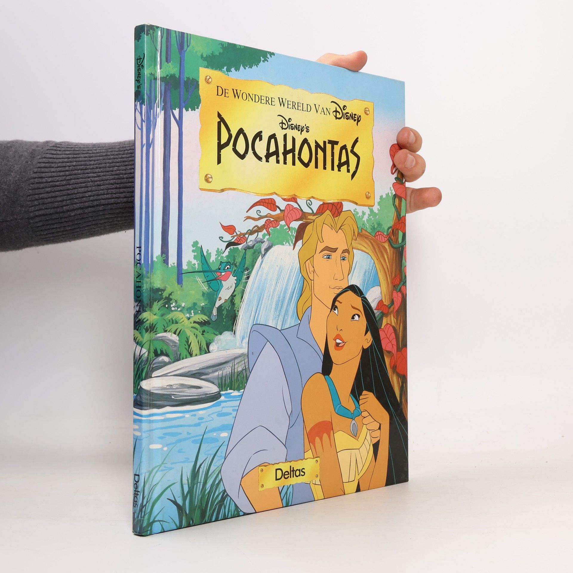 Autorenkollektiv Pocahontas