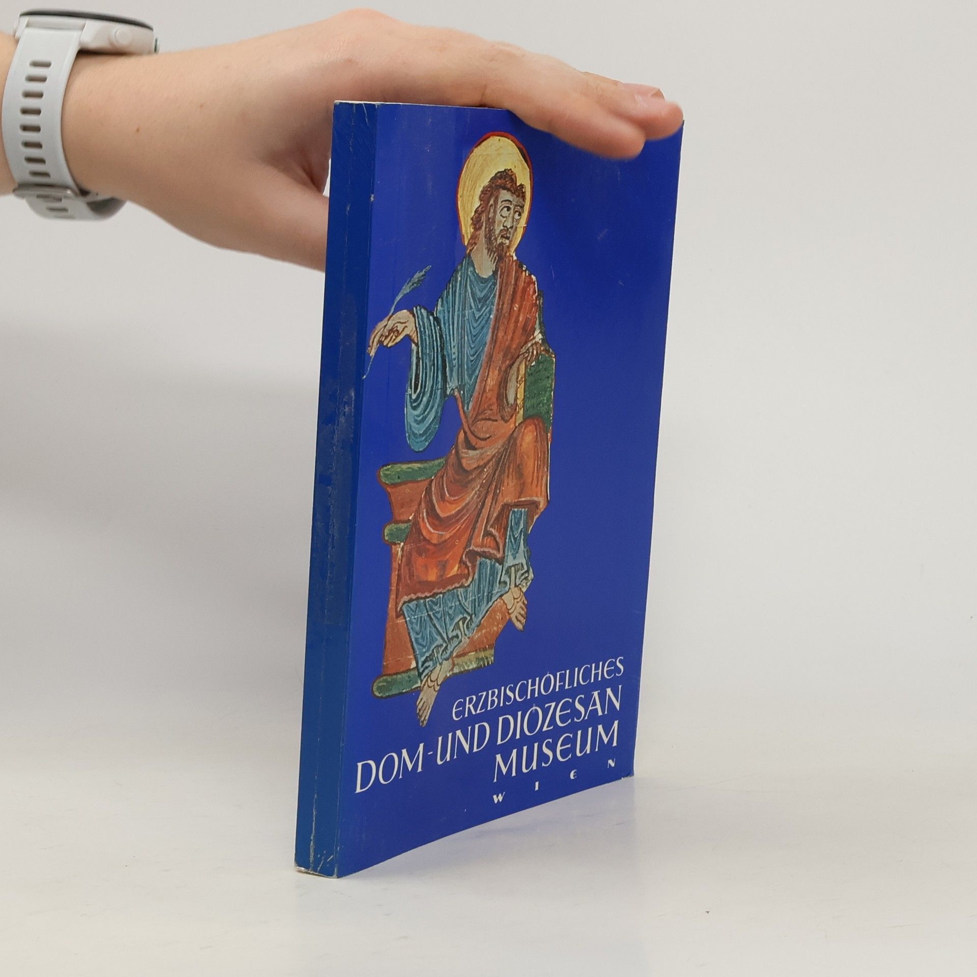 Kolektiv autorů Erzbischöfliches dom-und diözesan museum