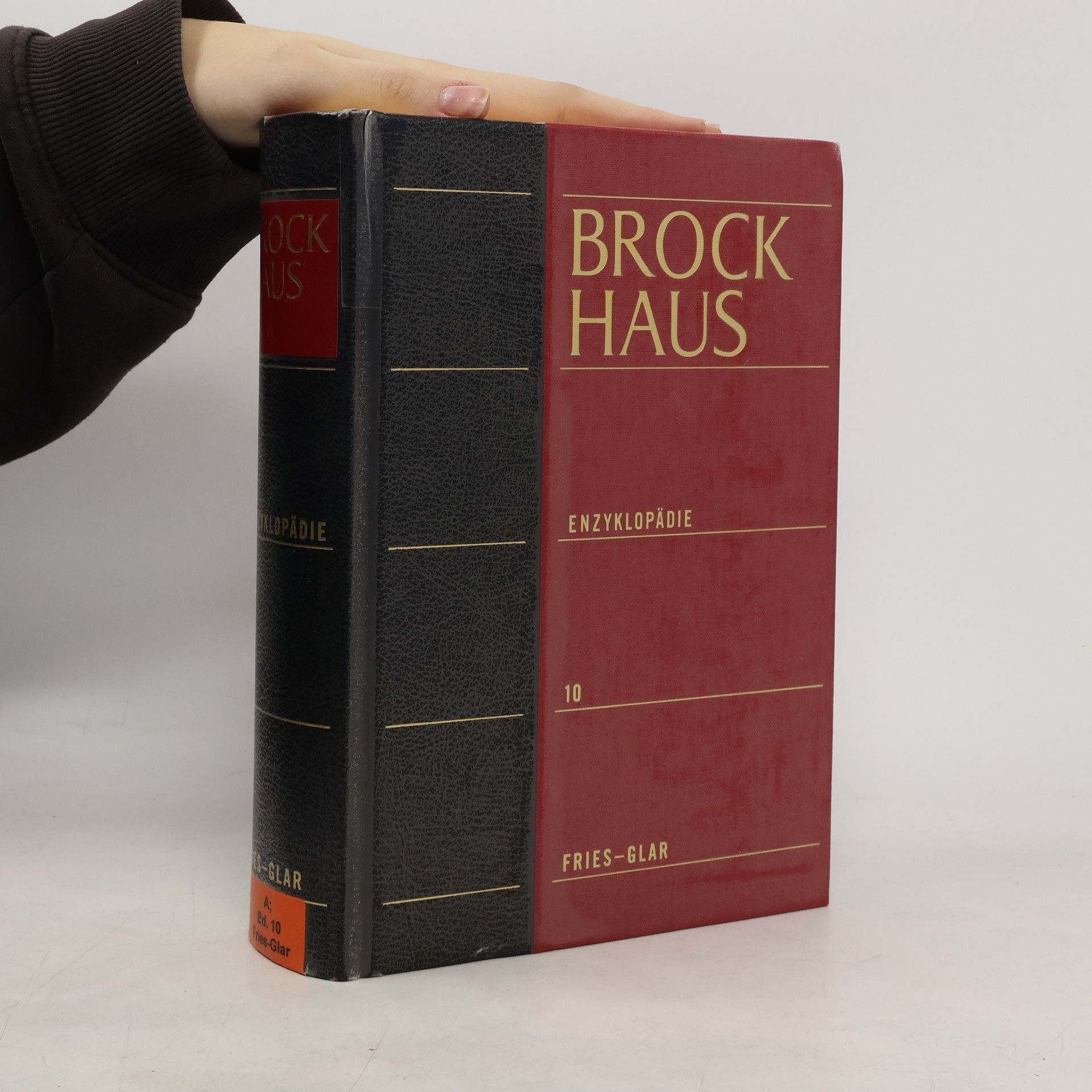 Autorenkollektiv Brockhaus-Enzyklopädie 10. Fries-Glar