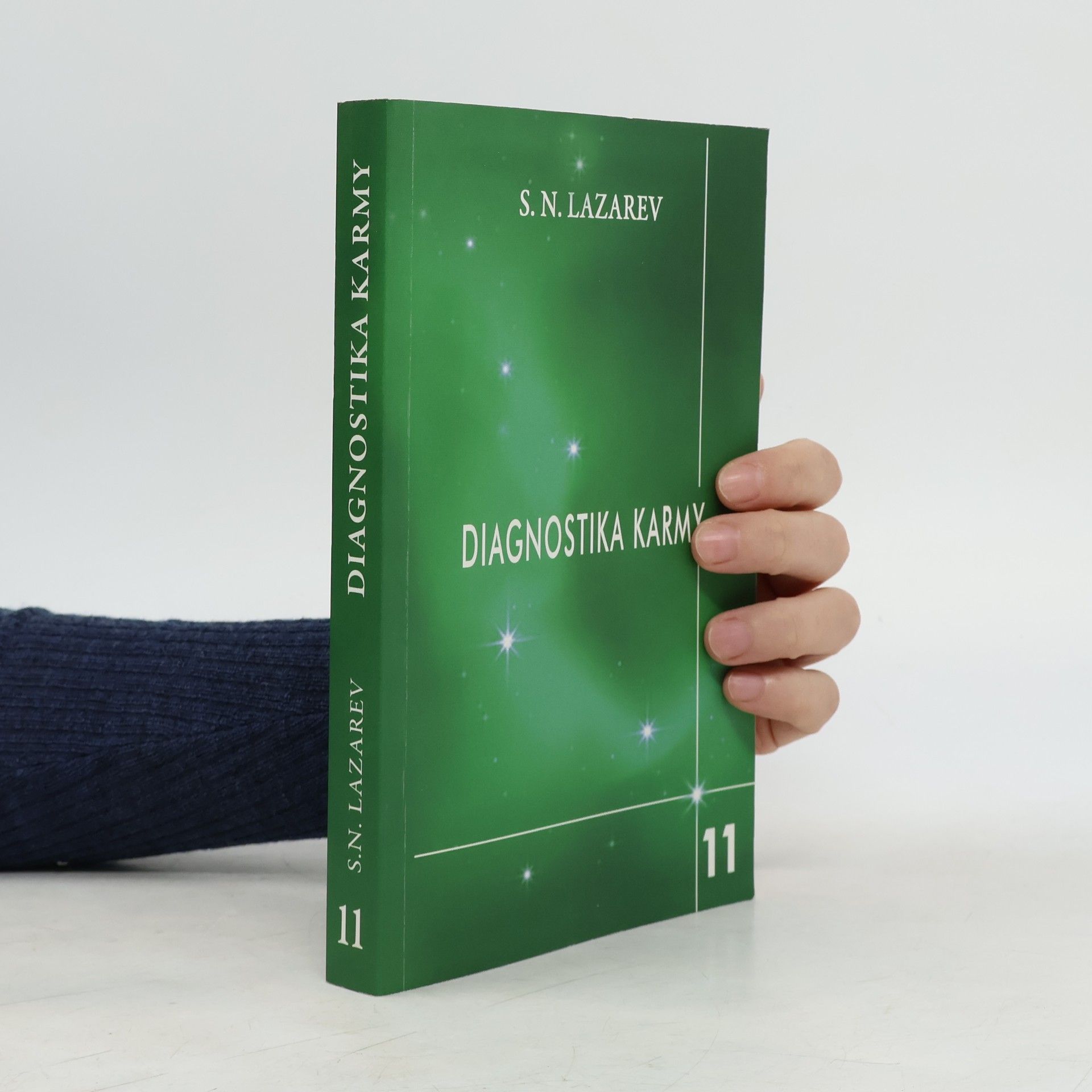 Sergei Nikolajewitsch Lasarew Diagnostika karmy. Kniha jedenáctá, Završení dialogu