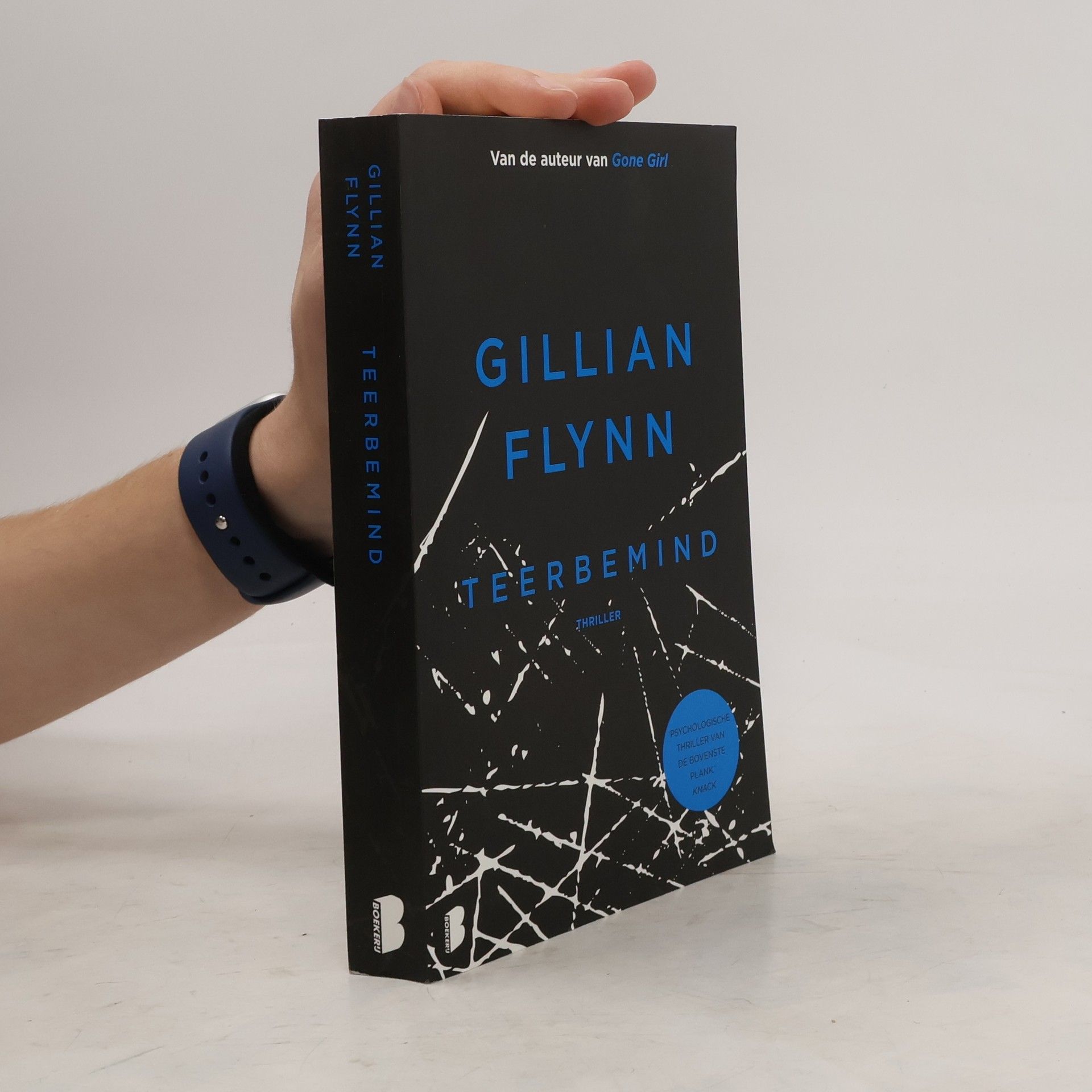 Gillian Flynn Teerbemind / druk 3