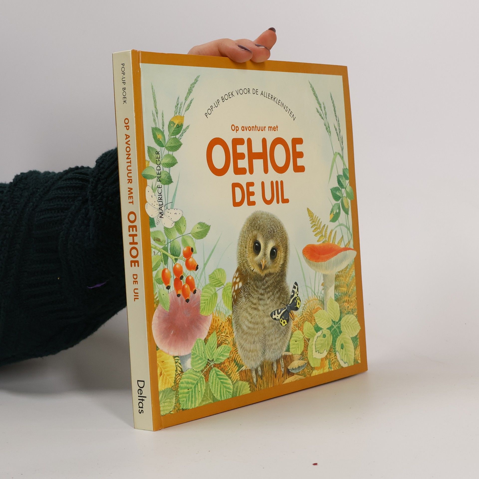 Maurice Pledger Op avontuur met Oehoe de uil