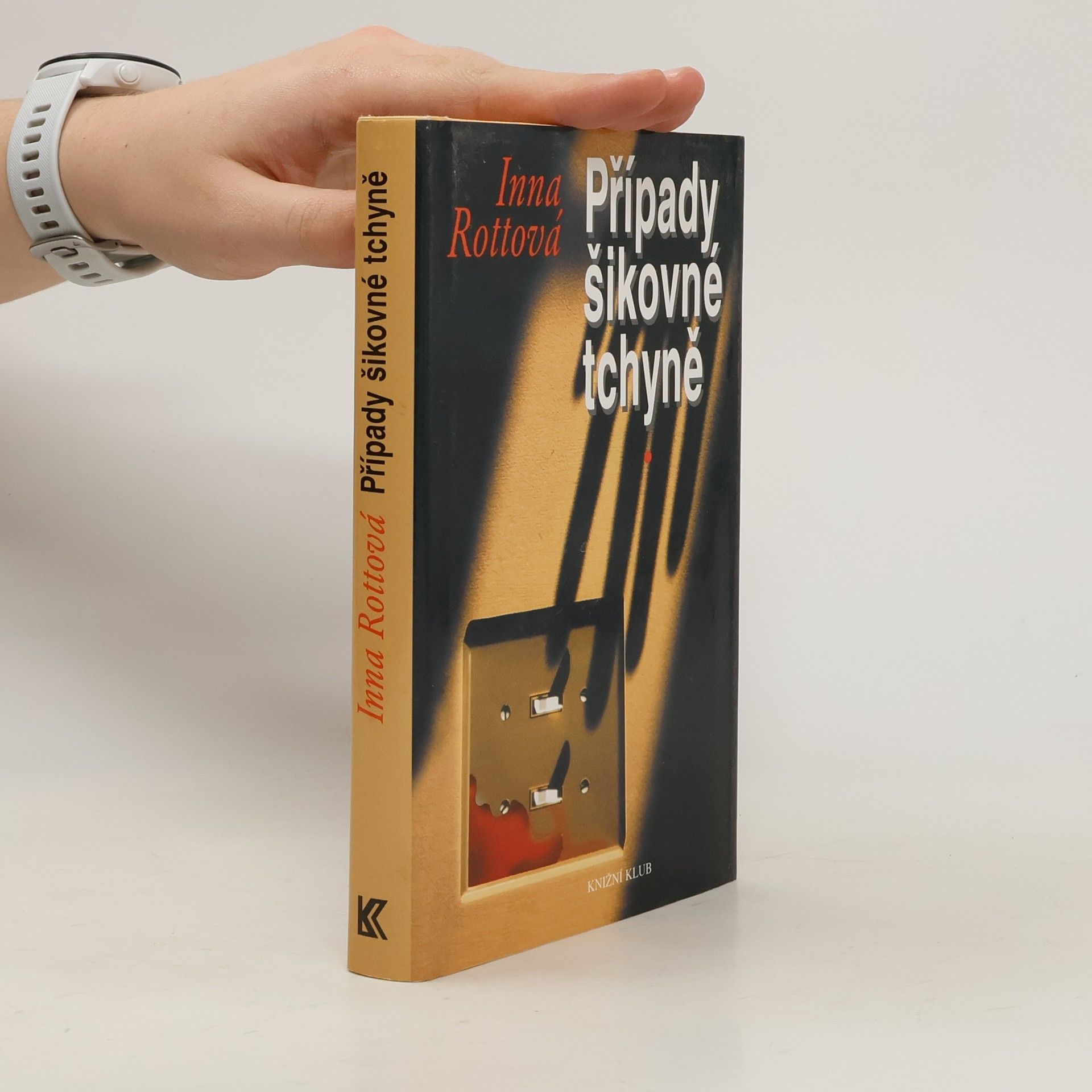 Inna Mirovská Případy šikovné tchyně