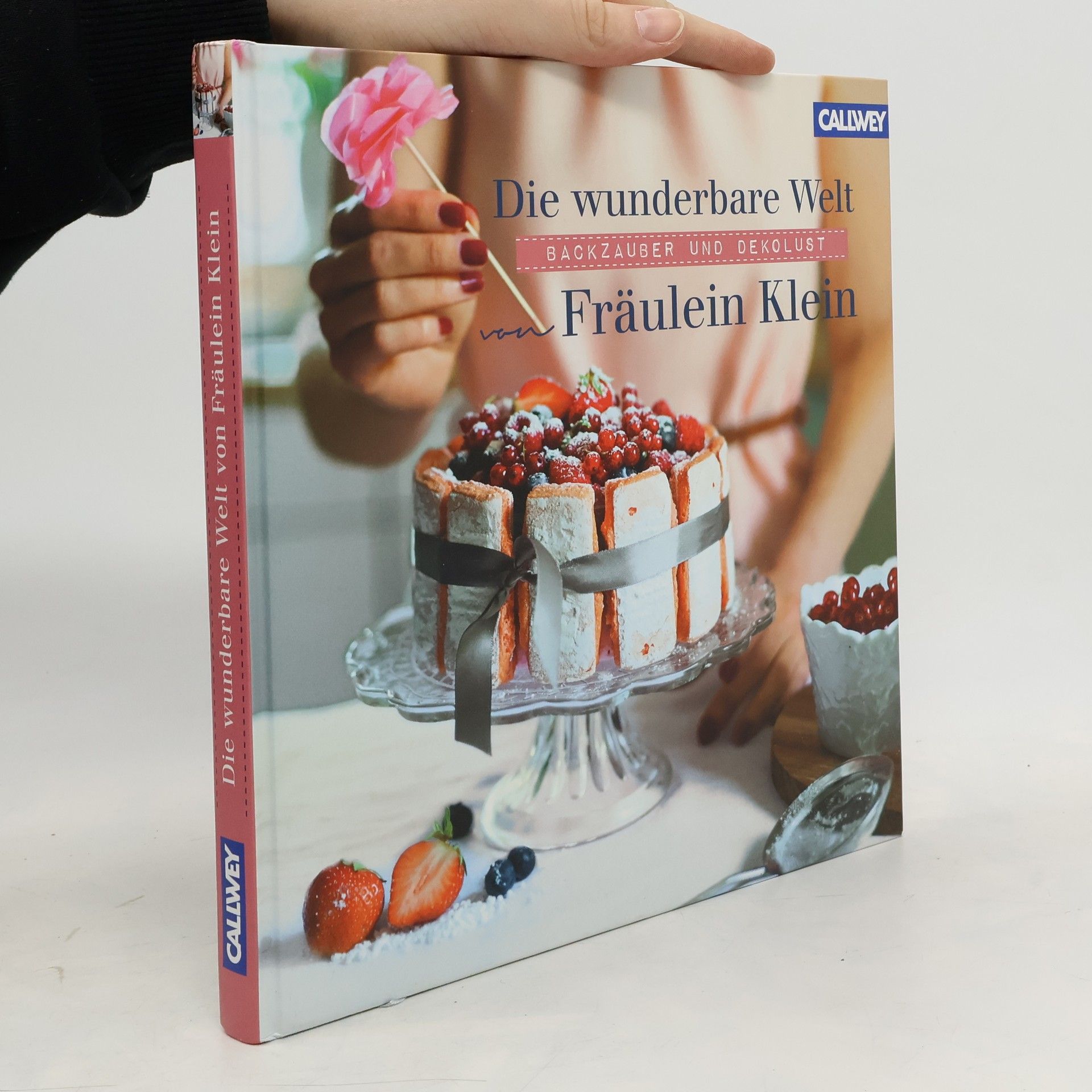 Yvonne Bauer Die wunderbare Welt von Fräulein Klein