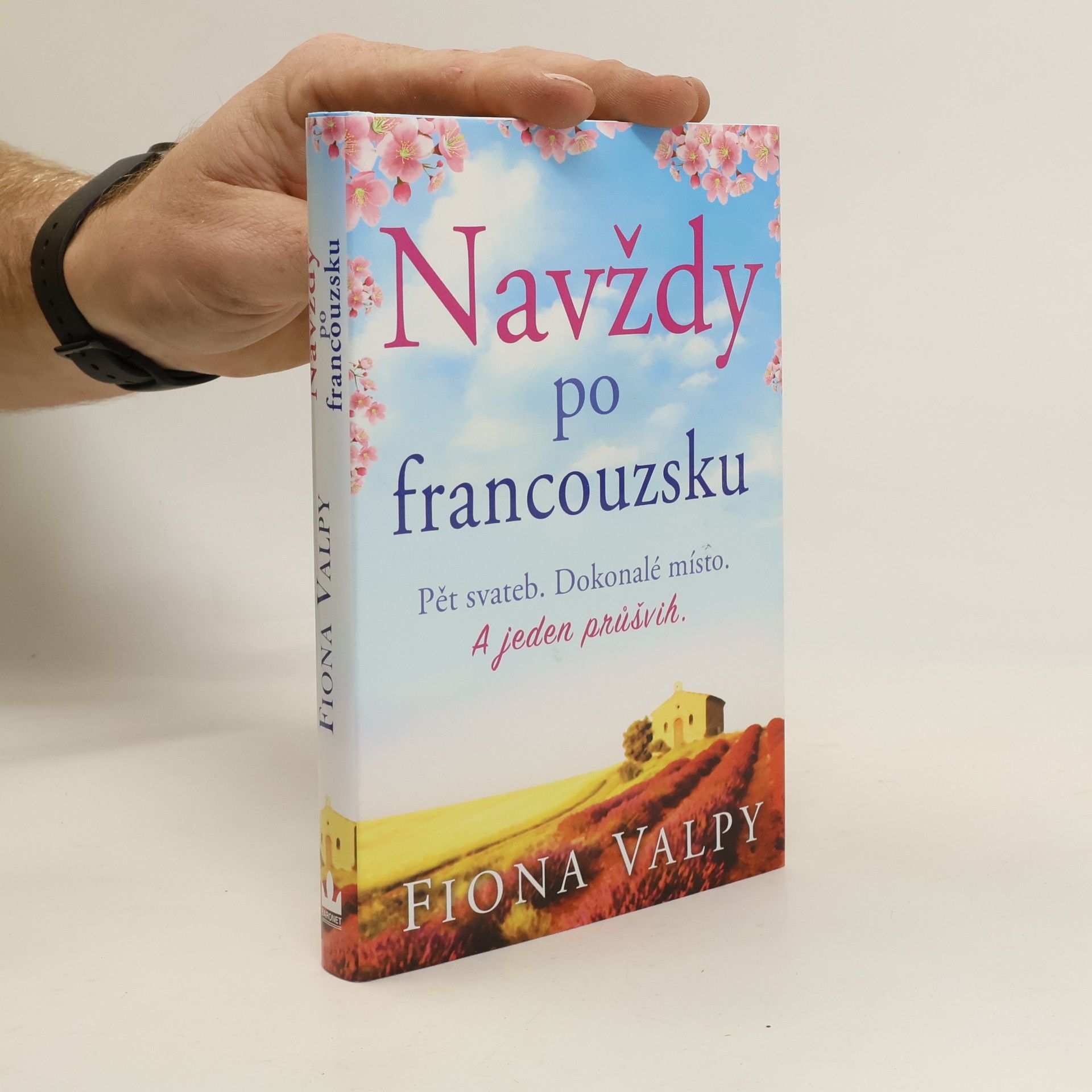 Fiona Valpy Navždy po francouzsku