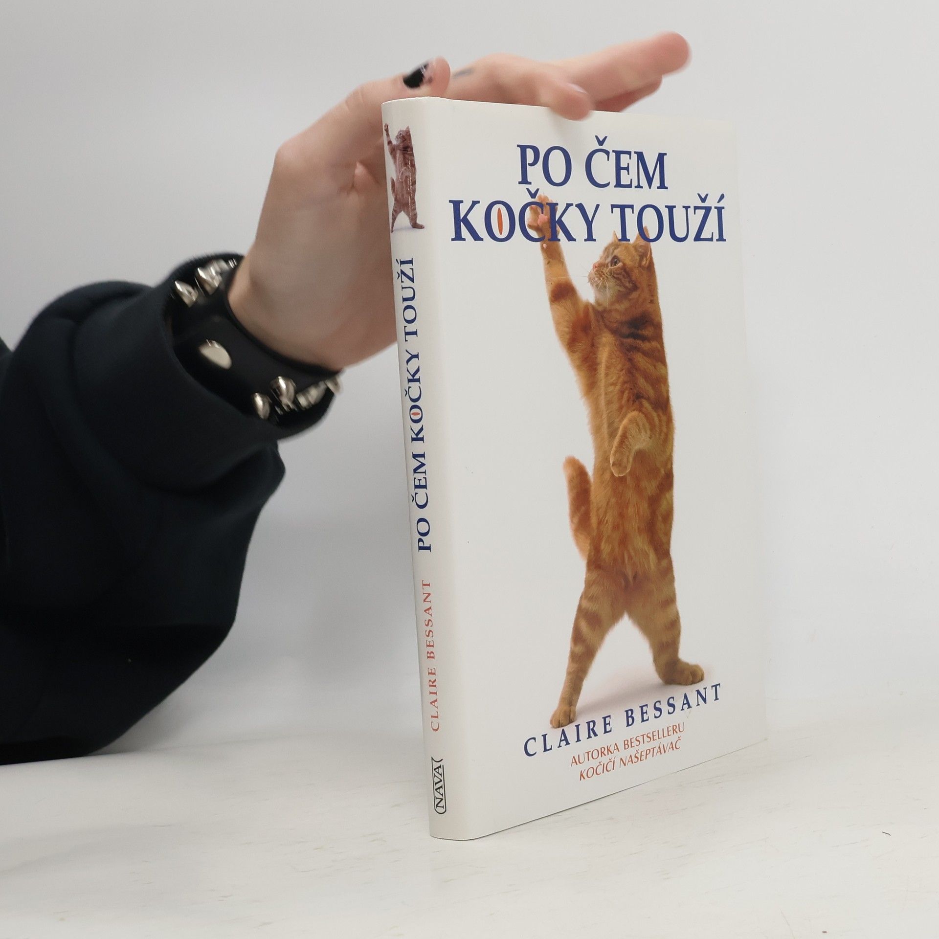 Claire Bessant Po čem kočky touží