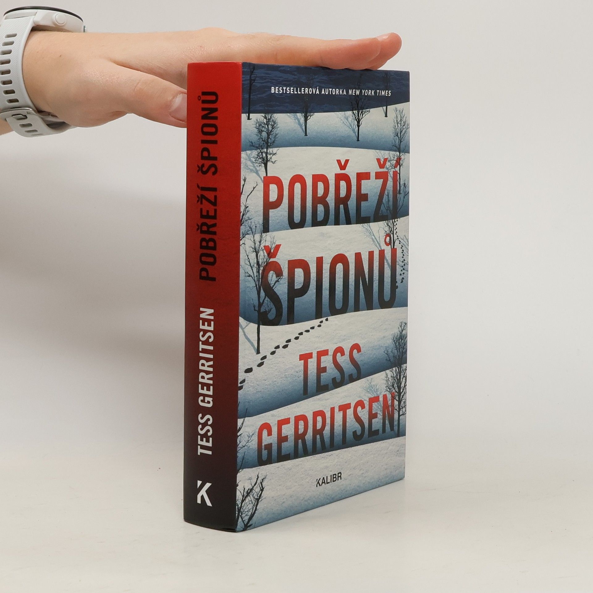 Tess Gerritsen Pobřeží špionů