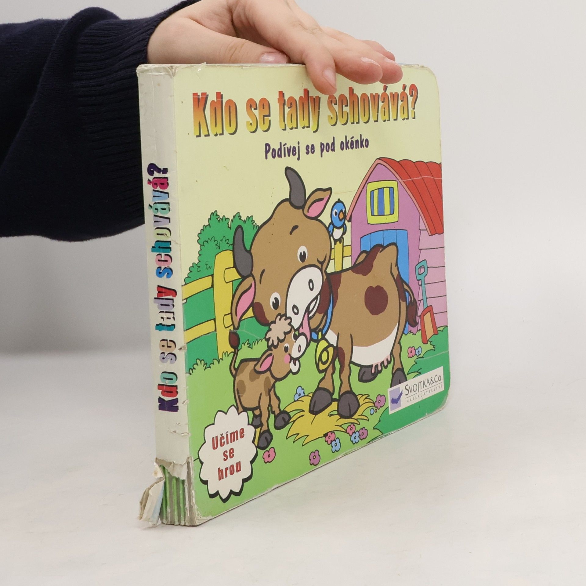 s.r.o Svojtka § Co. Kdo se tady schovává?