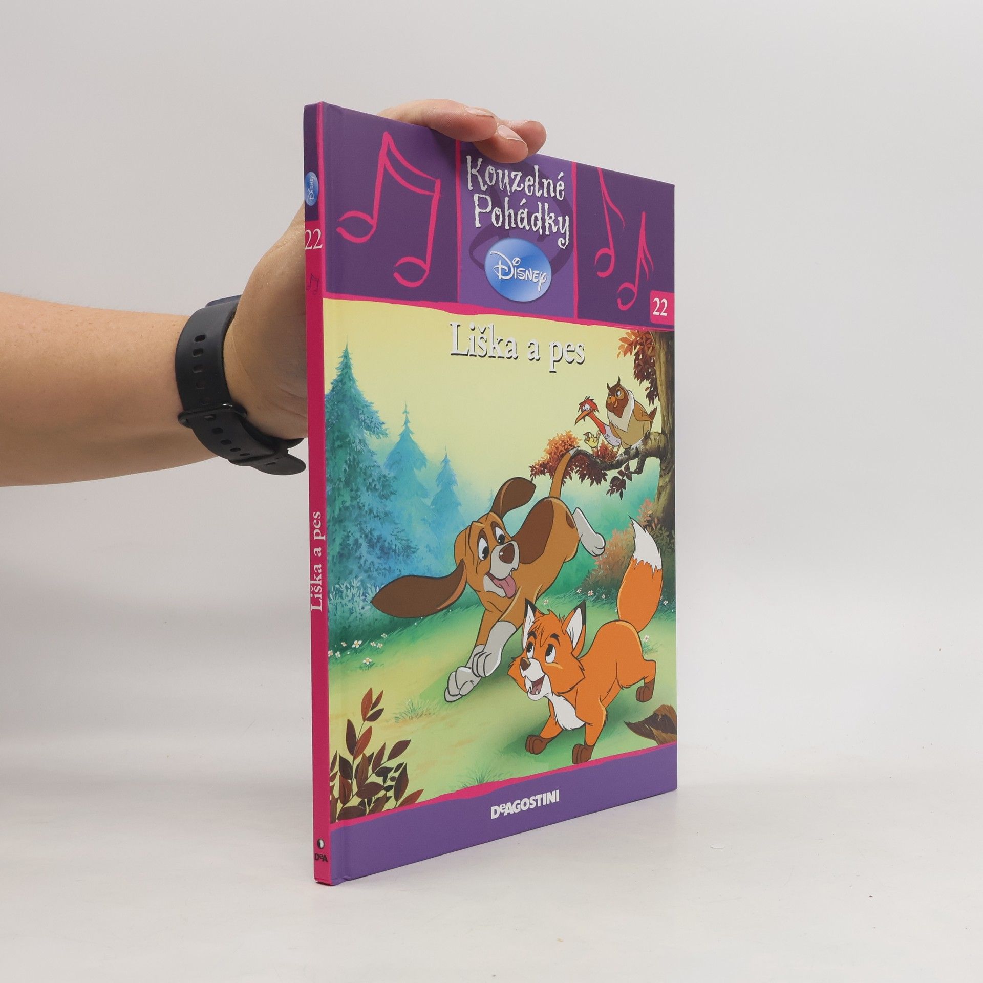 Kolektiv autorů Kouzelné pohádky 22. Liška a pes