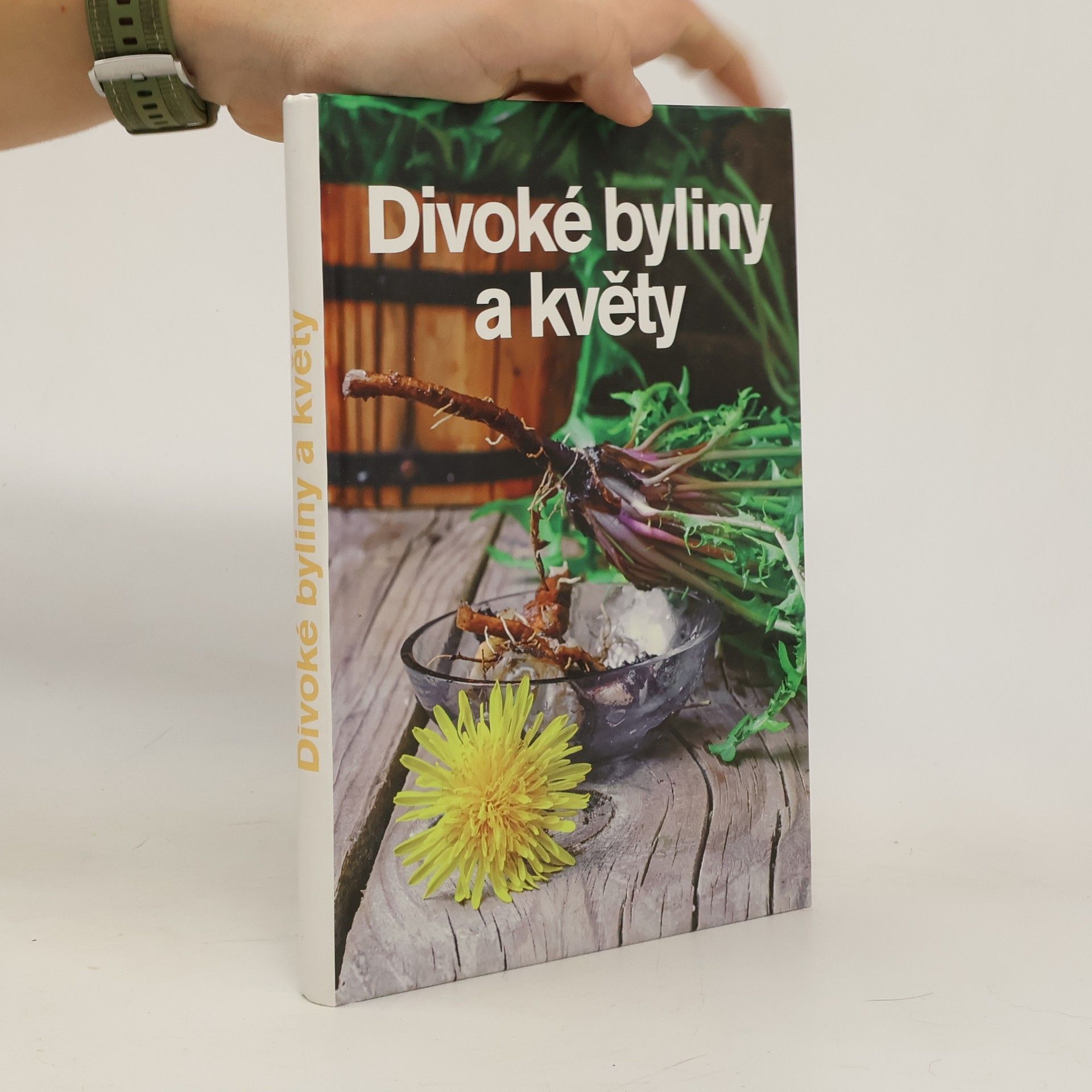 Andrea Malá Divoké byliny a květy