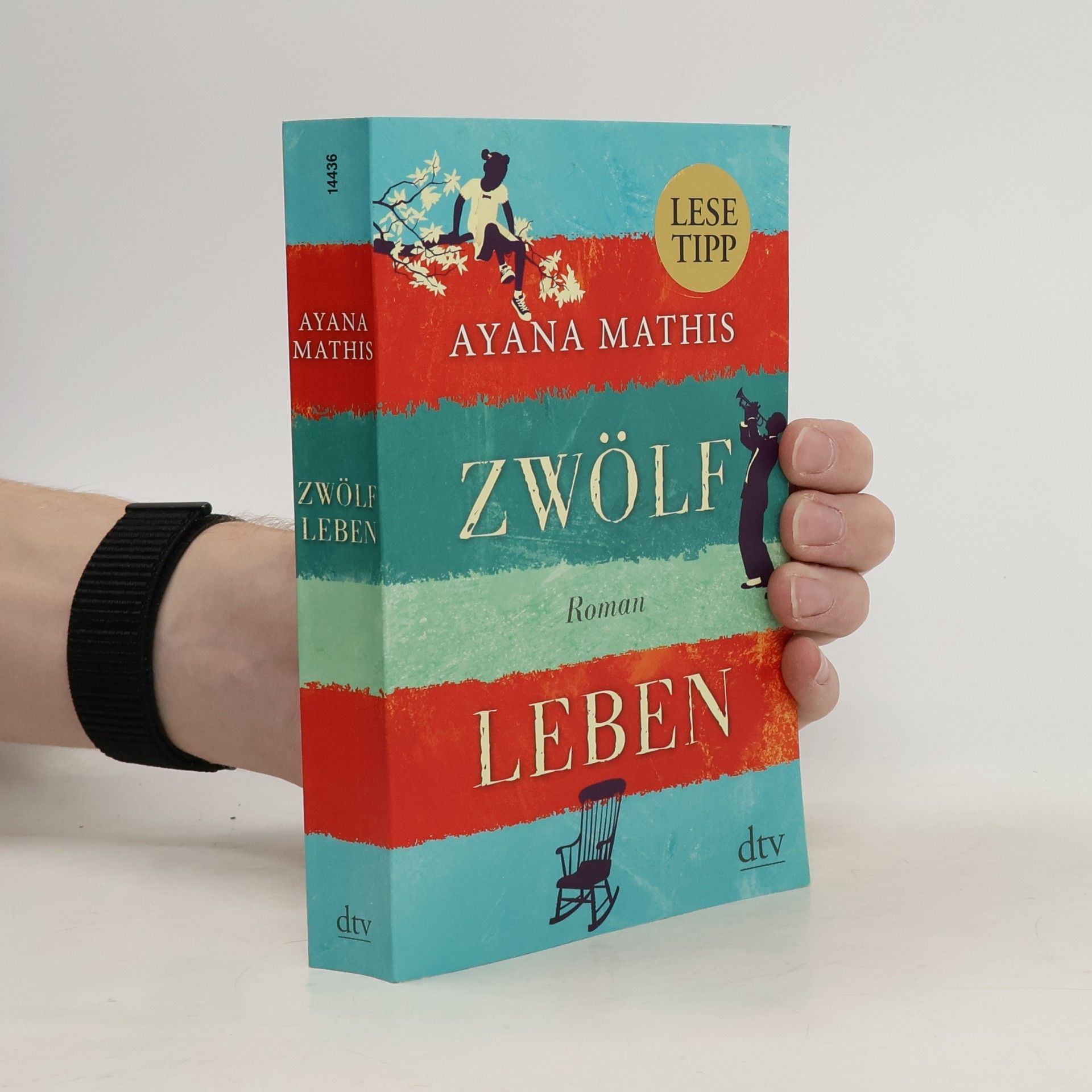 Ayana Mathis Zwölf Leben