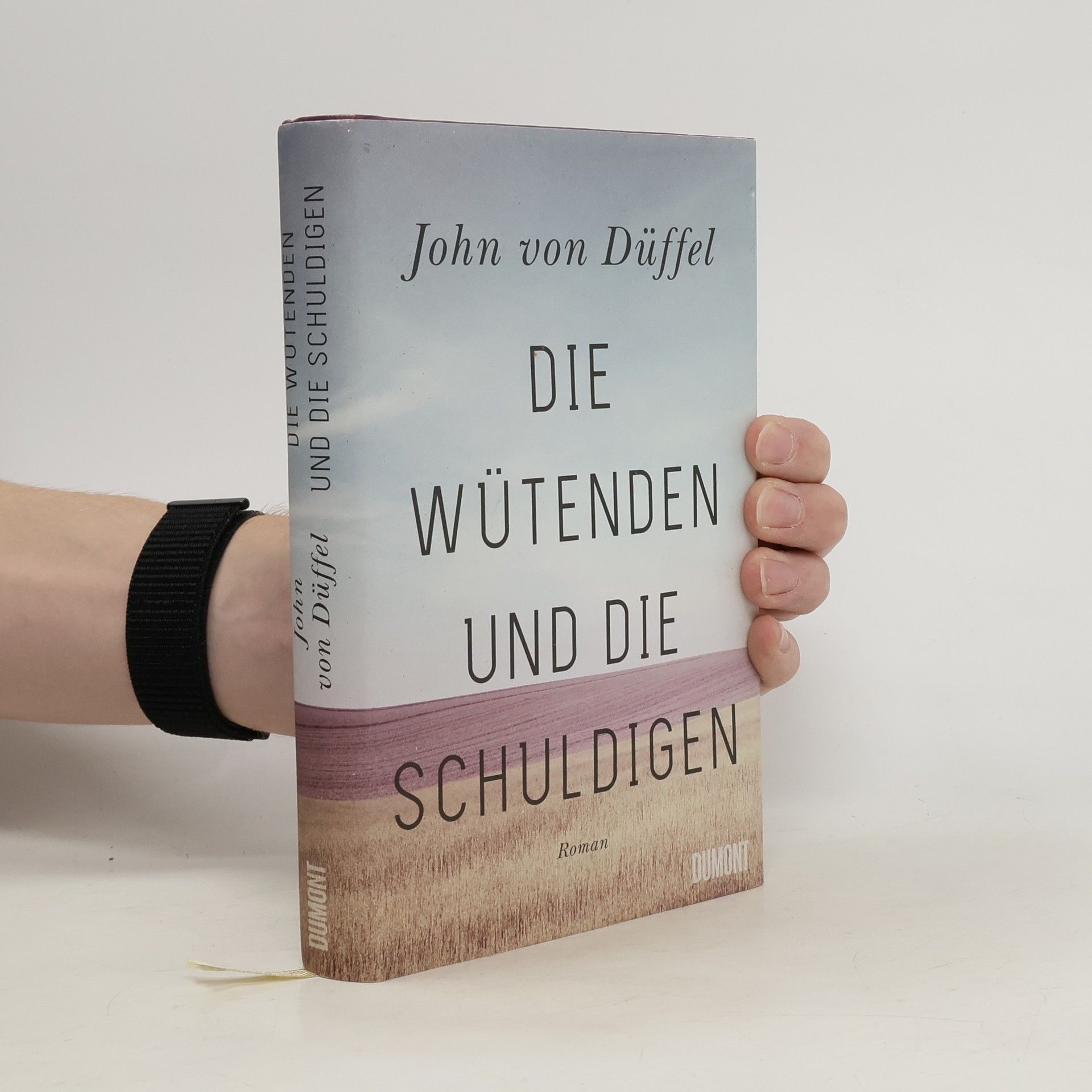 Die Wütenden und die Schuldigen : Roman