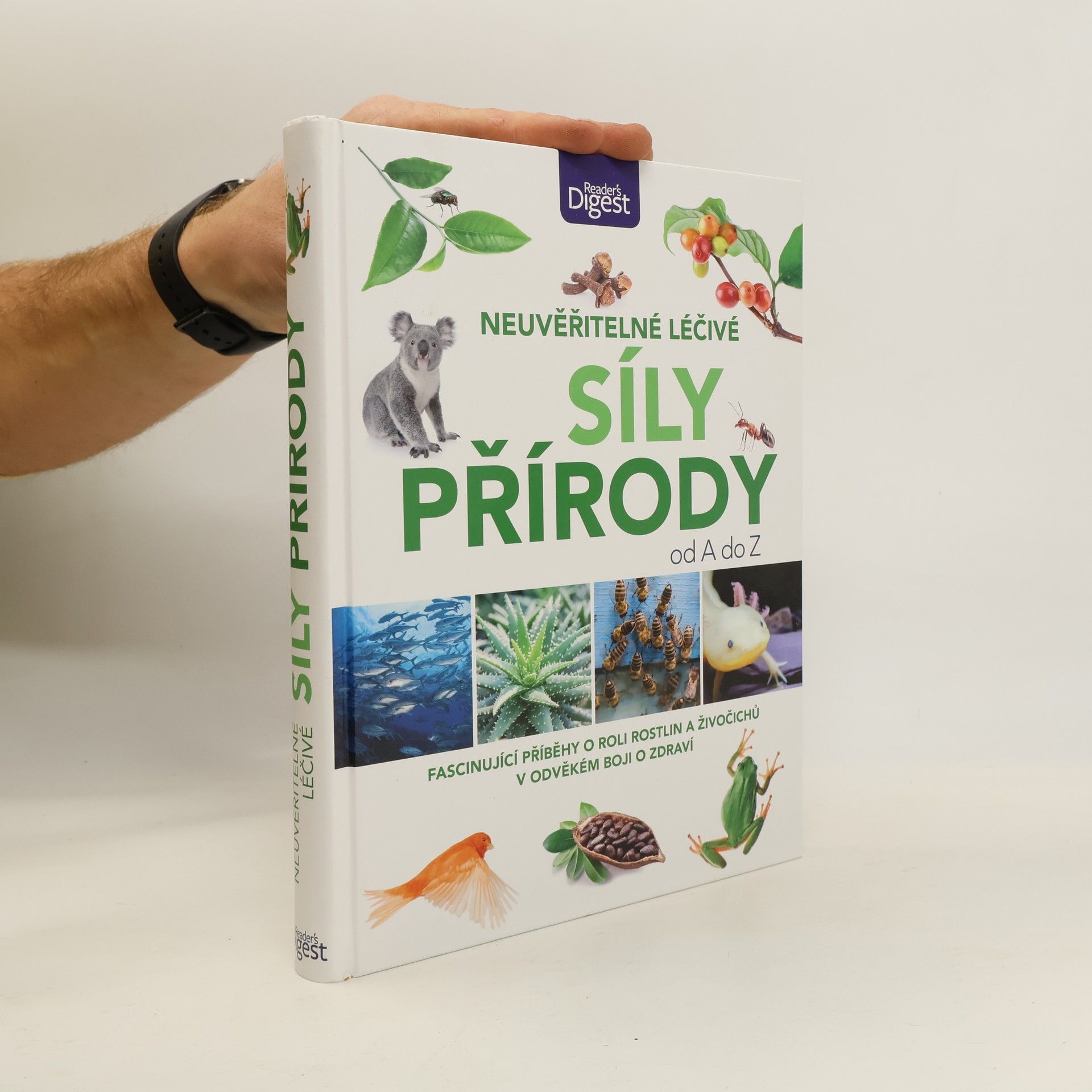 Autorenkollektiv Neuvěřitelné léčivé síly přírody od A do Z